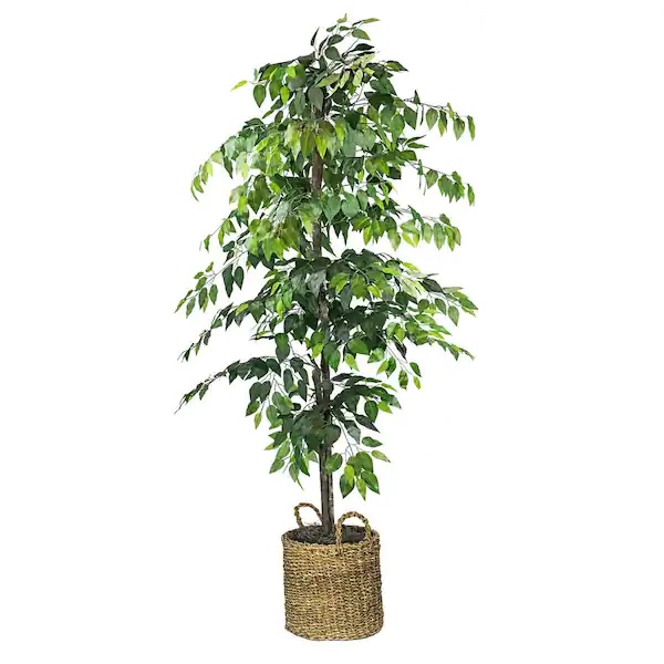 LCG SALES INC Artificial 6-foot Ficus Tree in Basket