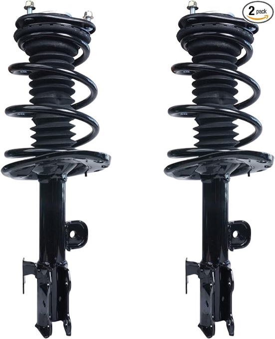 Tedermain Front Pair Complete Strut A0029R
