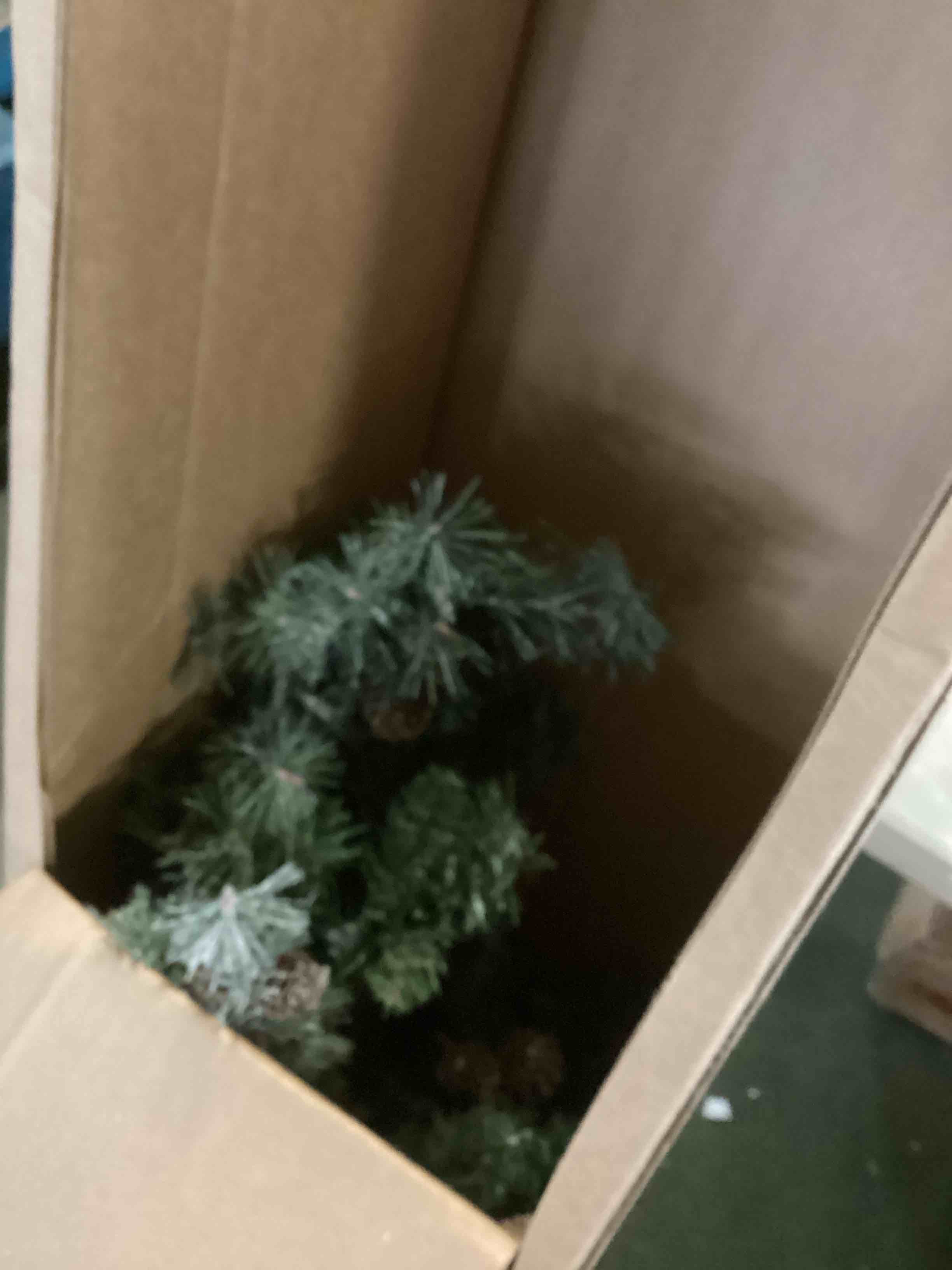 https://s3.amazonaws.com/lotting-images-prod/bidfta/GRN5444969_1701268491330.jpeg