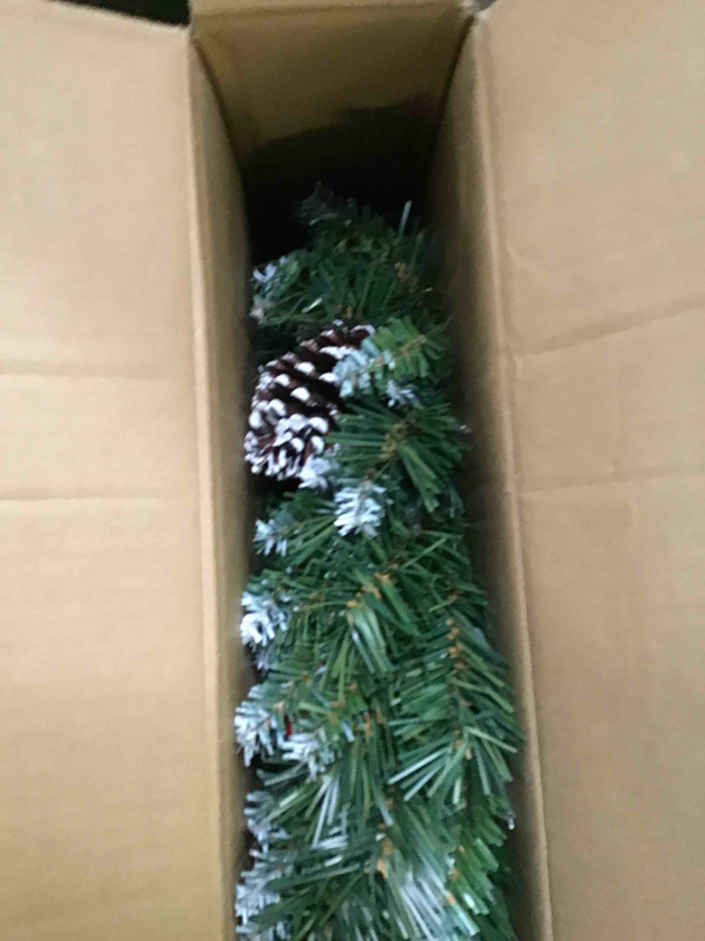 https://s3.amazonaws.com/lotting-images-prod/bidfta/GRN5451218_1701981217547.jpeg