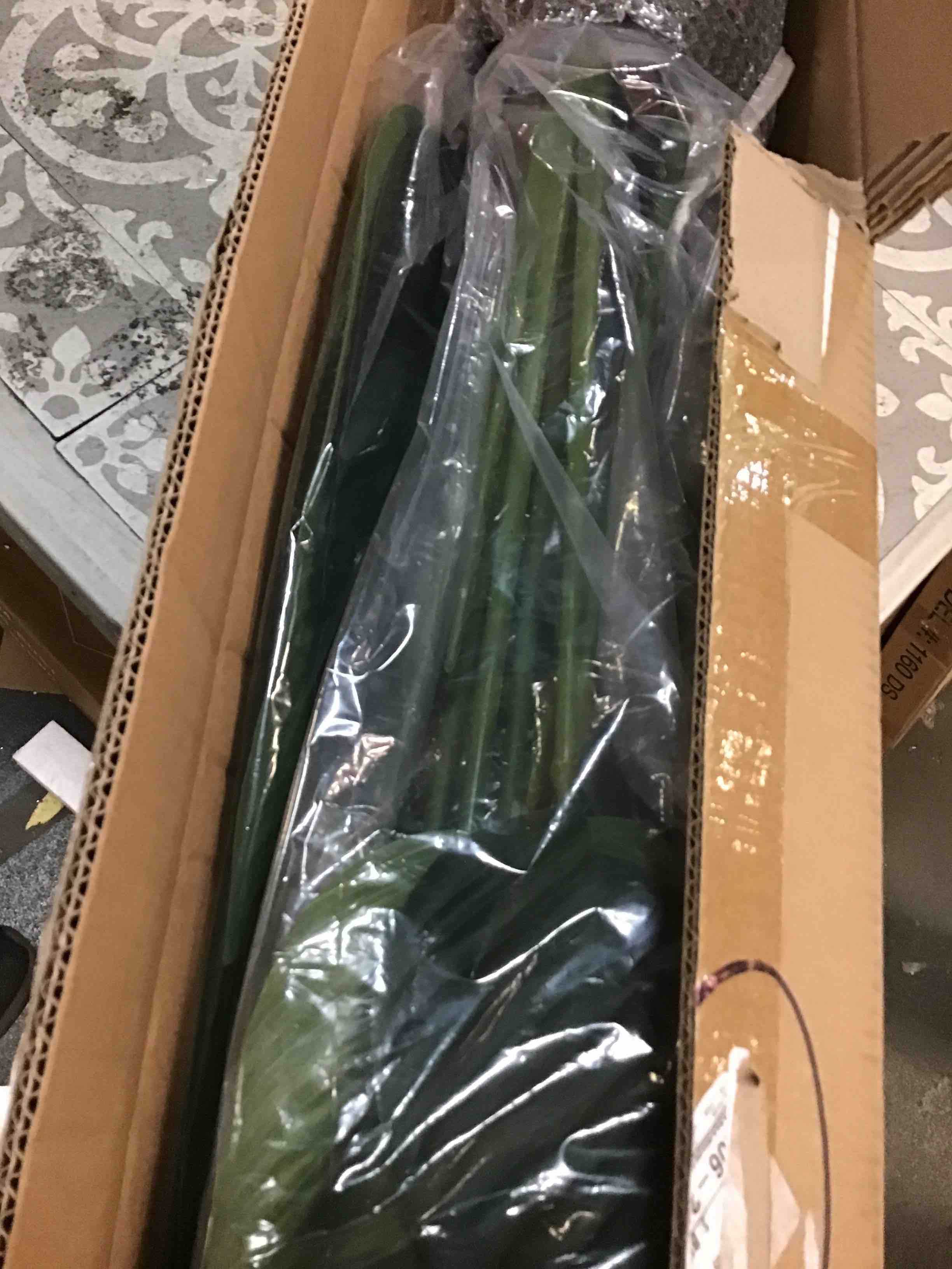 https://s3.amazonaws.com/lotting-images-prod/bidfta/GRN5455278_1703254202950.jpeg