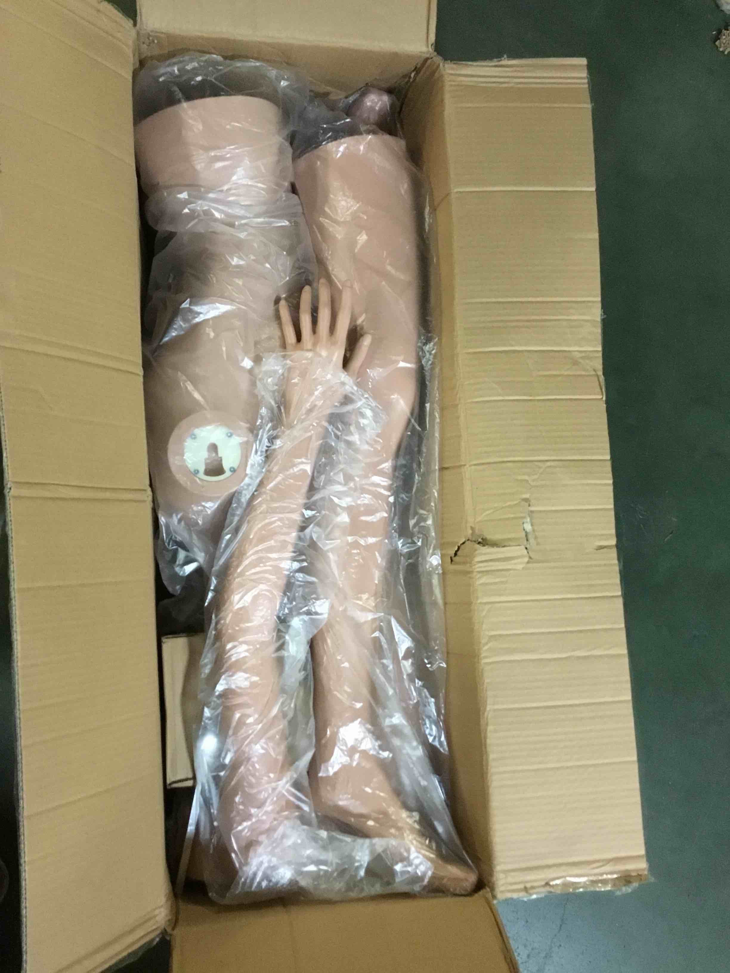 https://s3.amazonaws.com/lotting-images-prod/bidfta/GRN5459038_1697543556178.jpeg
