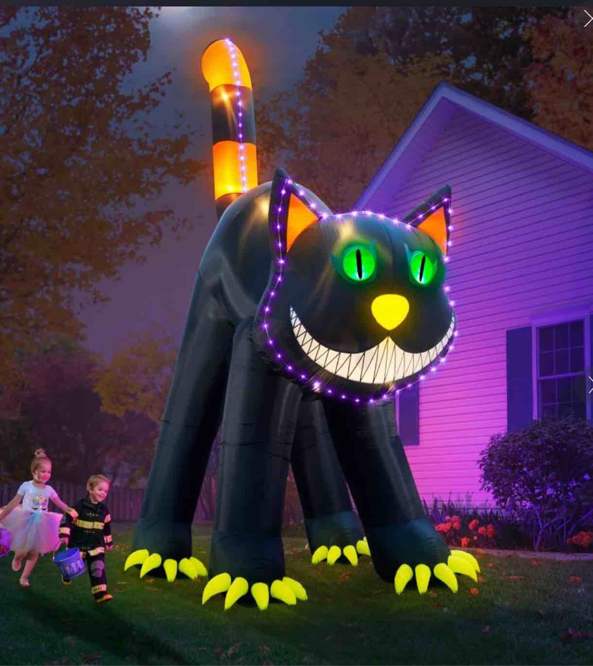 The 17' Blinking Black Cat
