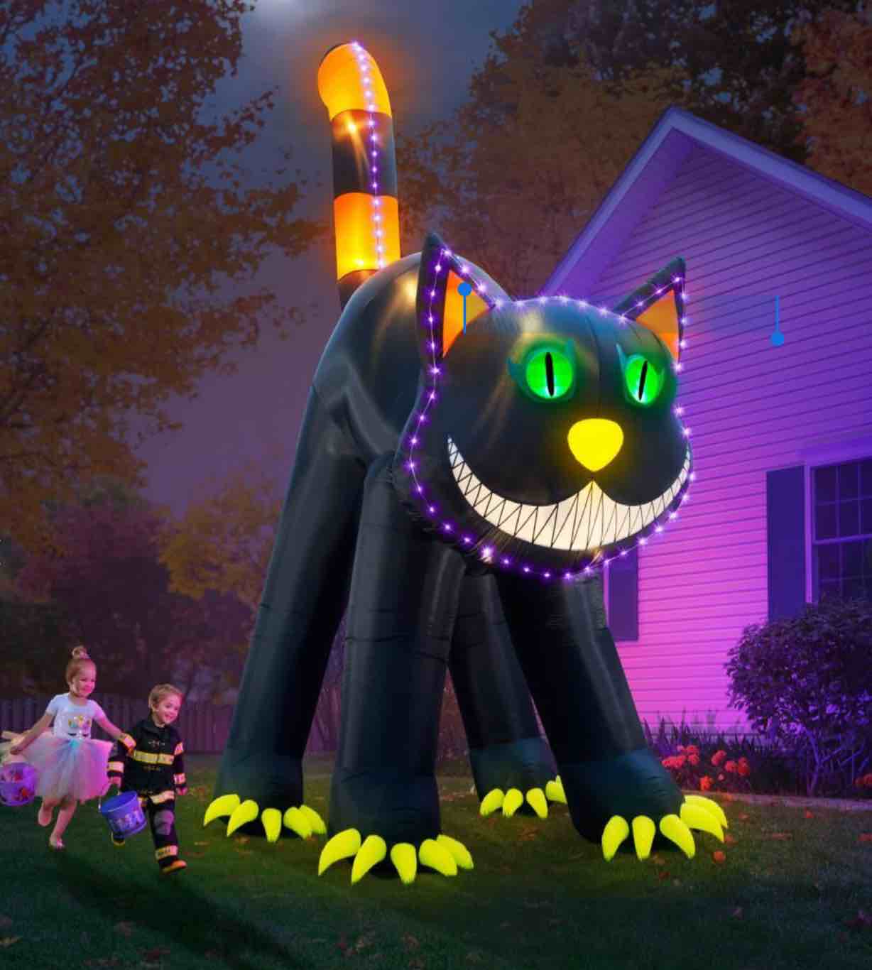 The 17' Blinking Black Cat