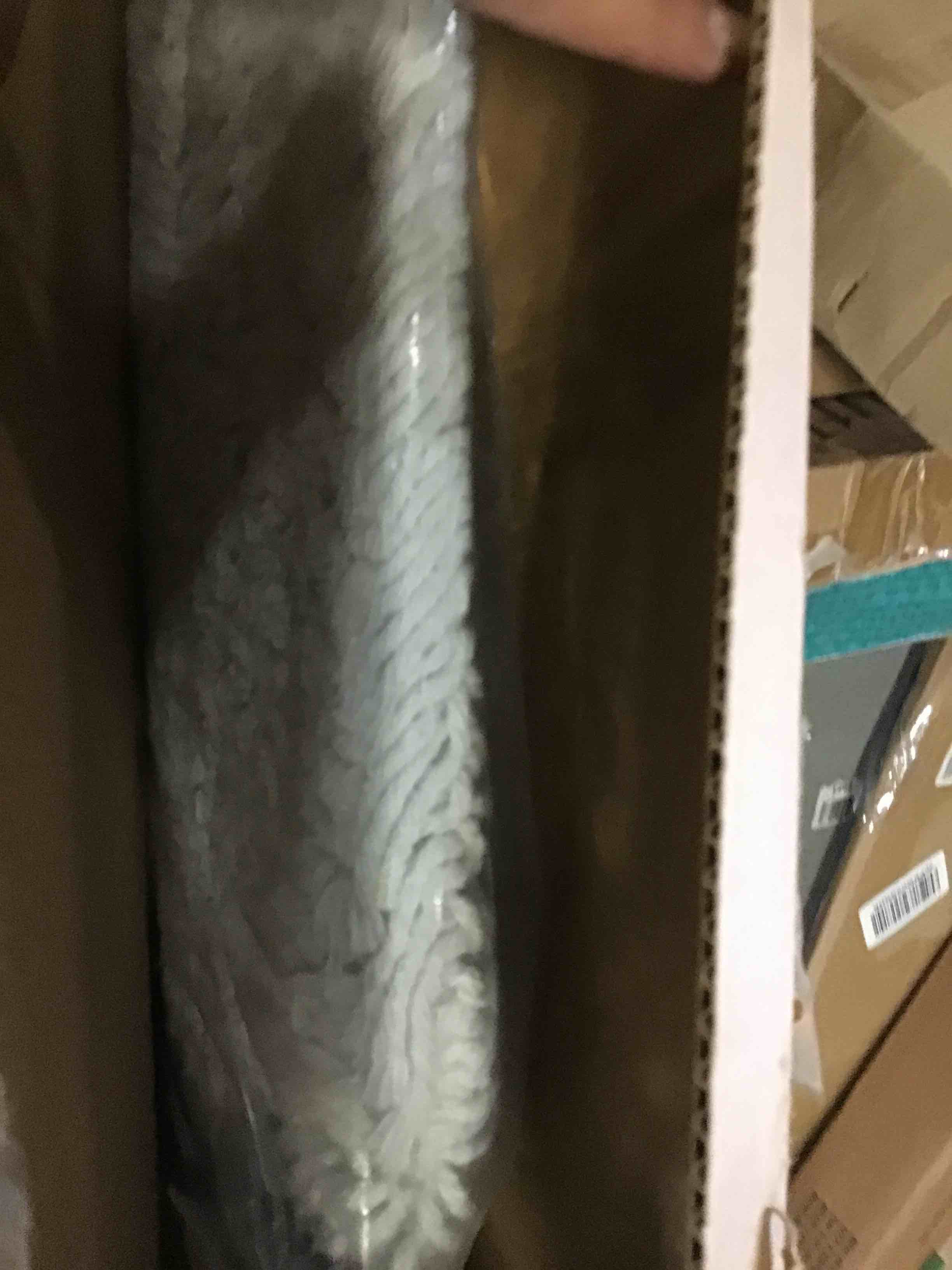 https://s3.amazonaws.com/lotting-images-prod/bidfta/GRN5469176_1700843304281.jpeg