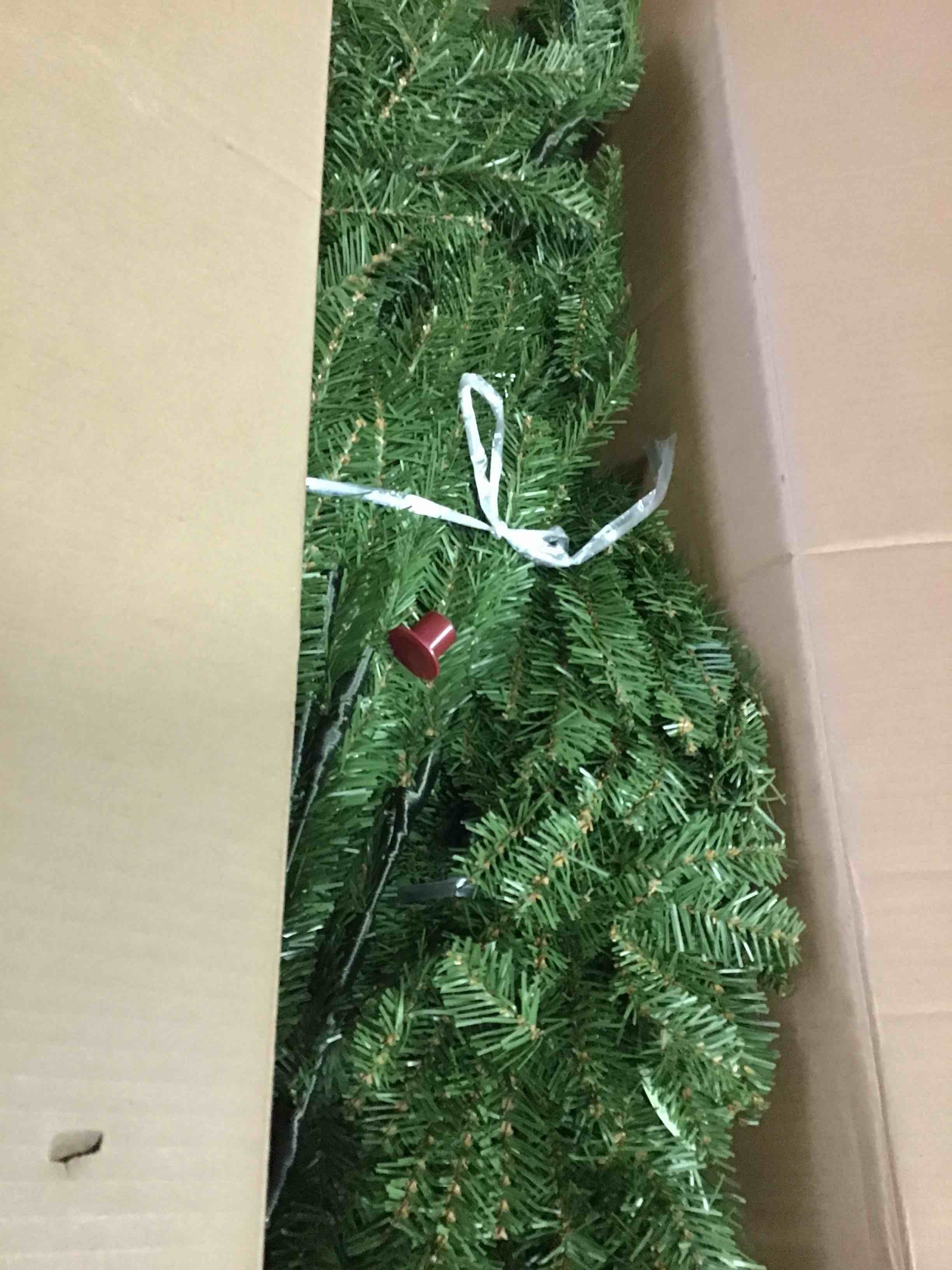 https://s3.amazonaws.com/lotting-images-prod/bidfta/GRN5469388_1701108562774.jpeg