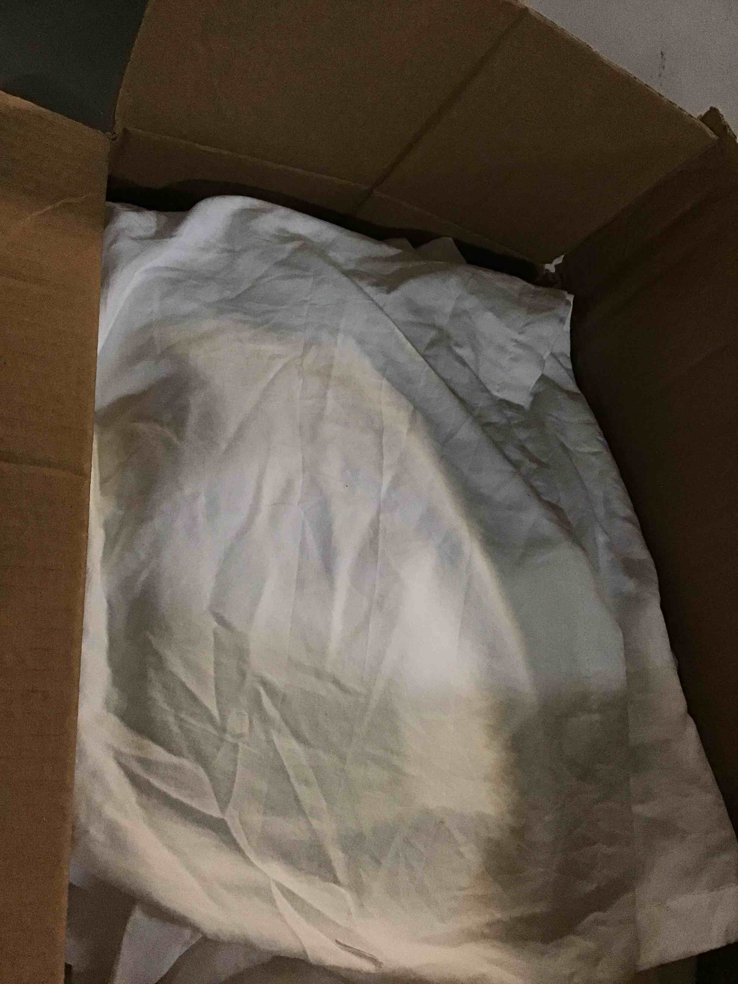 https://s3.amazonaws.com/lotting-images-prod/bidfta/GRN5471211_1700239161341.jpeg