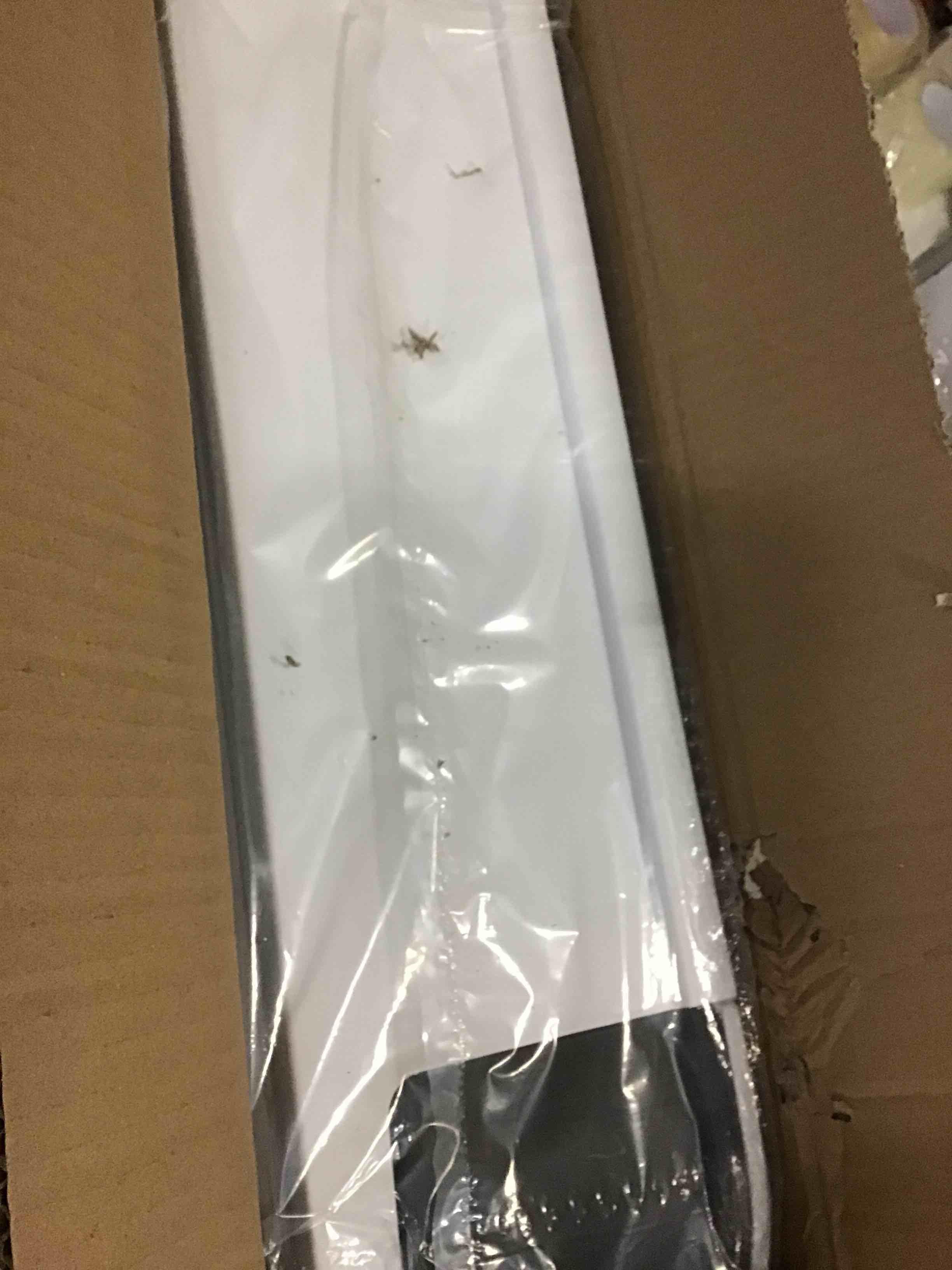 https://s3.amazonaws.com/lotting-images-prod/bidfta/GRN5478703_1700226702231.jpeg
