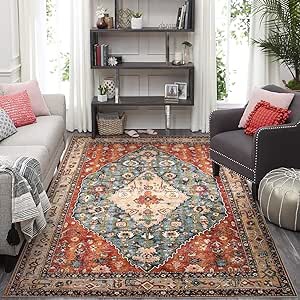 Lahome Boho Tribal Area Rug - 9x12 Large Dining Room Rug Soft Living Room Mat, Vintage Washable Indoor Floor Throw Carpet for Bedroom Powder Room Nursery Playroom Home Office Apartment Decor,Rust