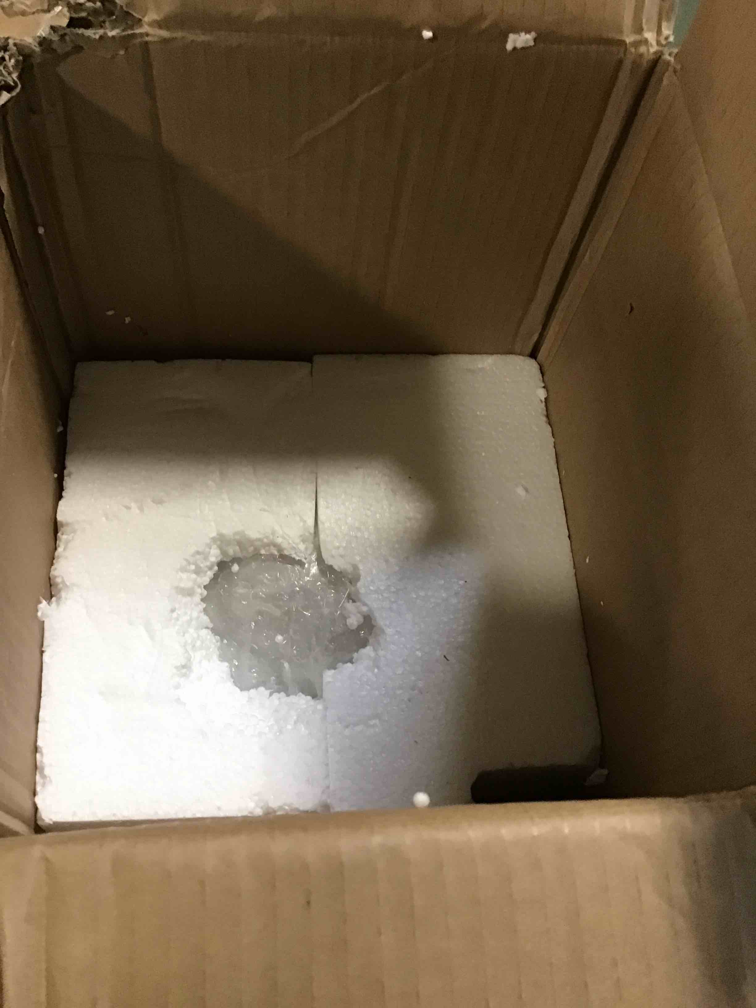 https://s3.amazonaws.com/lotting-images-prod/bidfta/GRN5489879_1702499480658.jpeg
