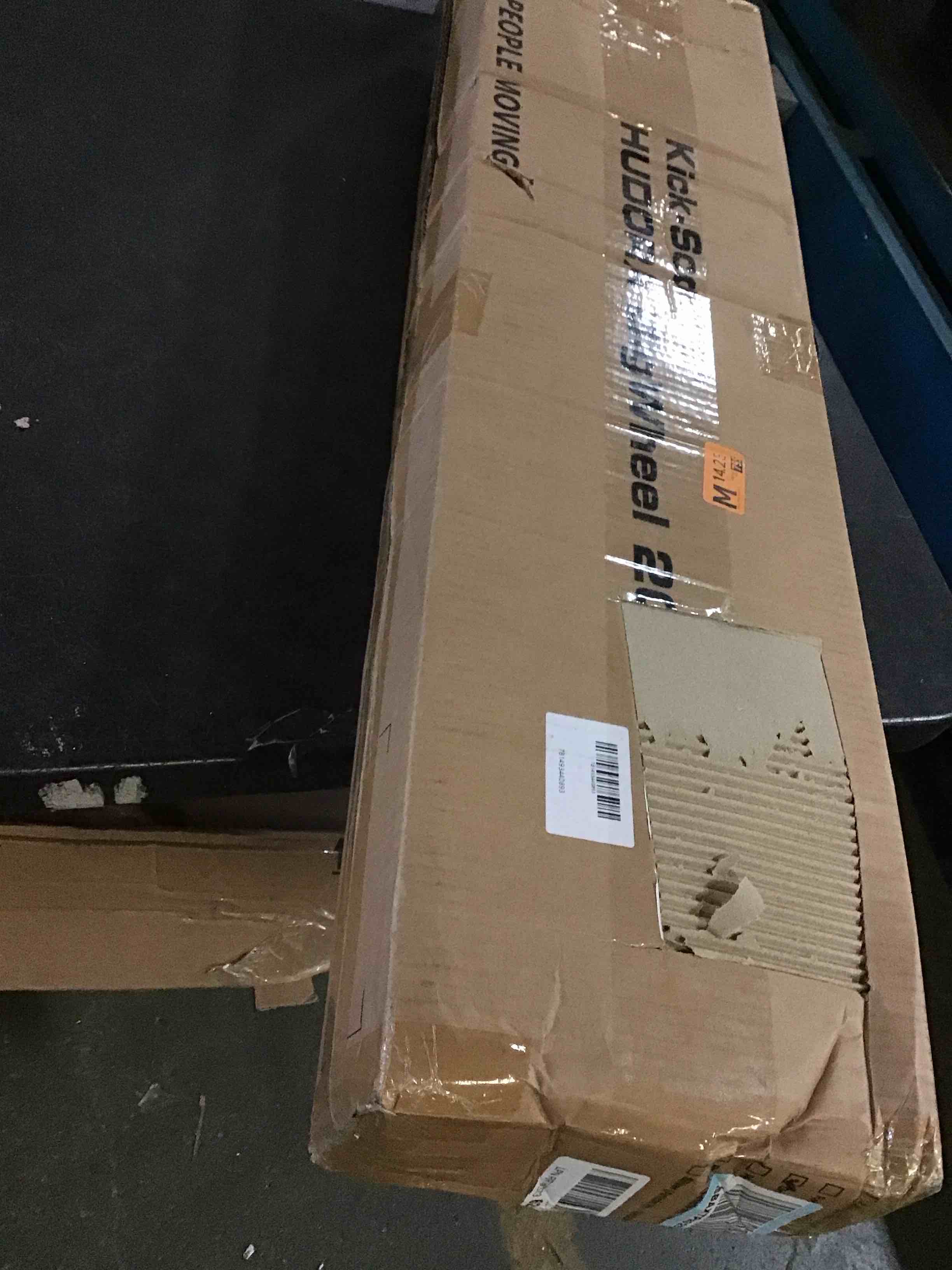https://s3.amazonaws.com/lotting-images-prod/bidfta/GRN5586352_1702484418770.jpeg
