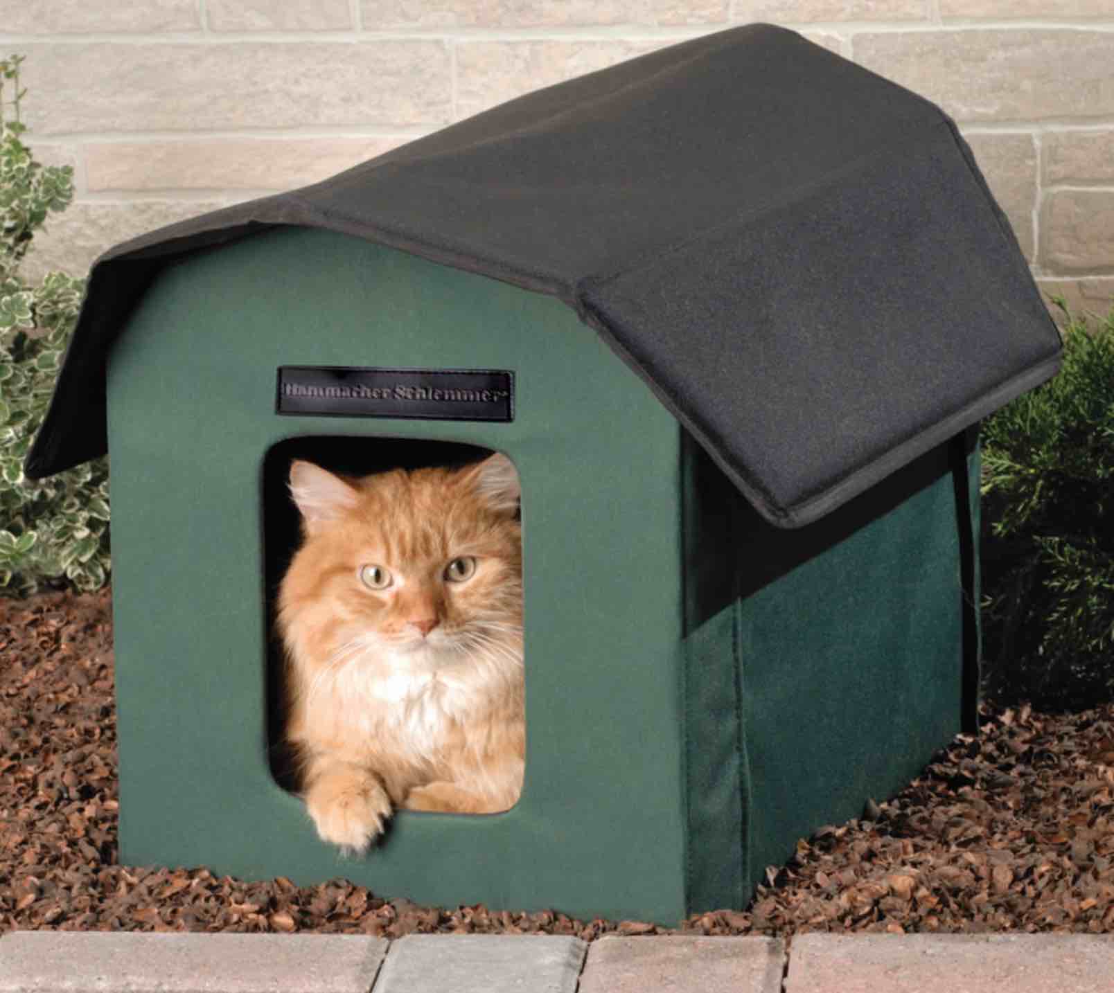 The Only Outdoor Heated Cat Shelter