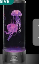 The Best Jellyfish Aquarium