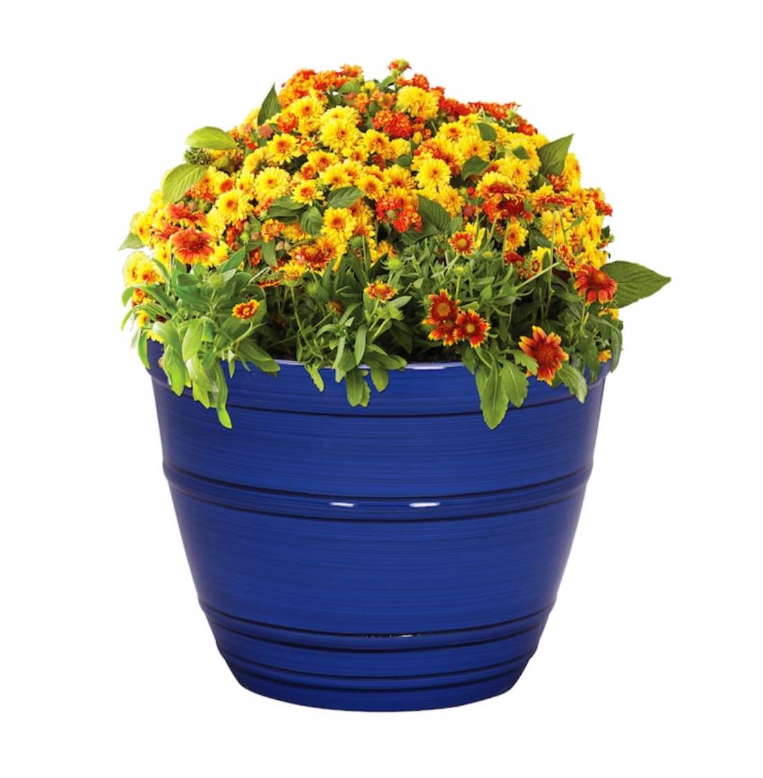 STYLE SELECTIONS 16.85-in W x 13.74-in H Blue Resin Contemporary/Modern Indoor/Outdoor Planter