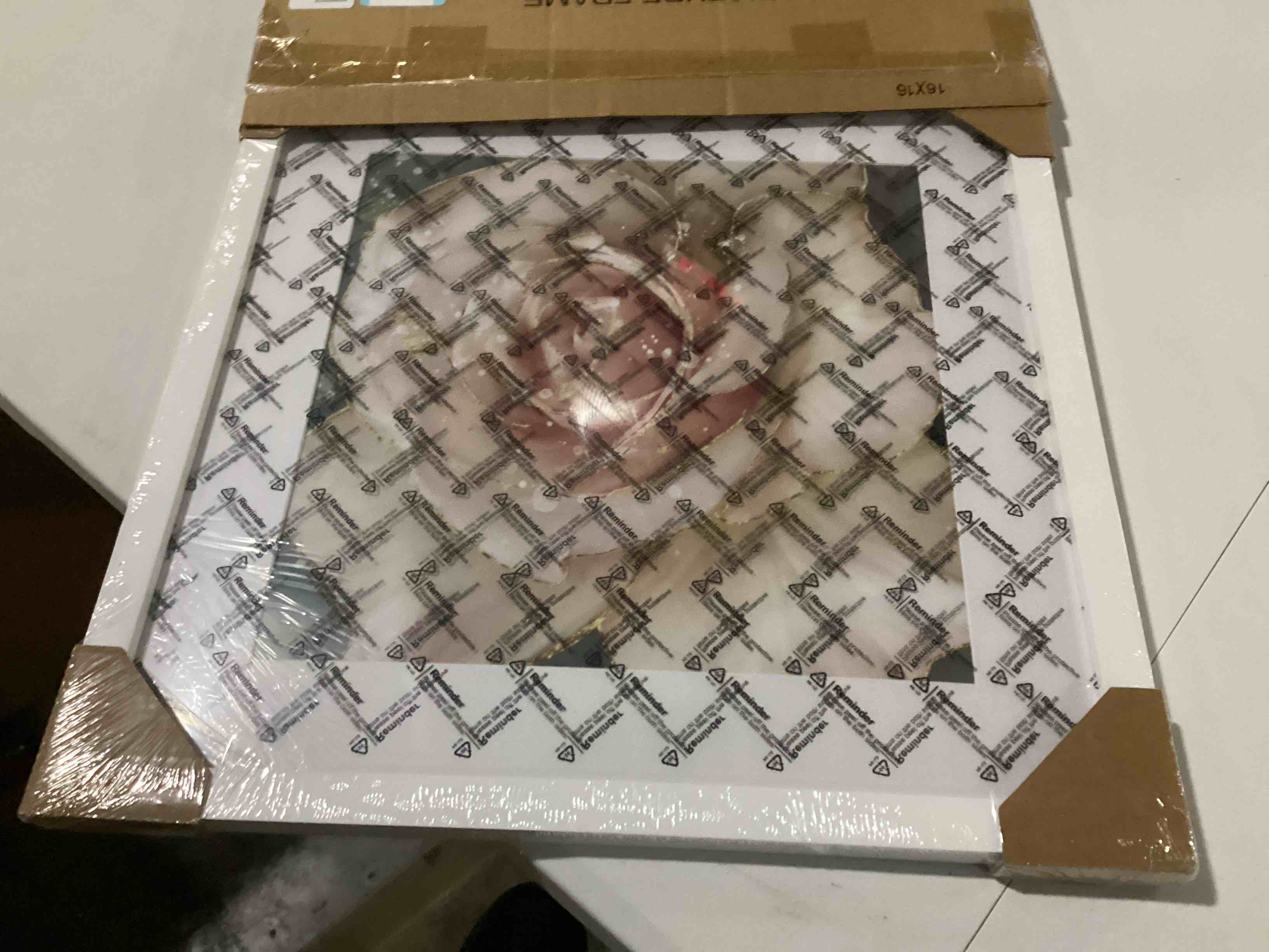 https://s3.amazonaws.com/lotting-images-prod/bidfta/GRN5709754_1728406089768.jpeg