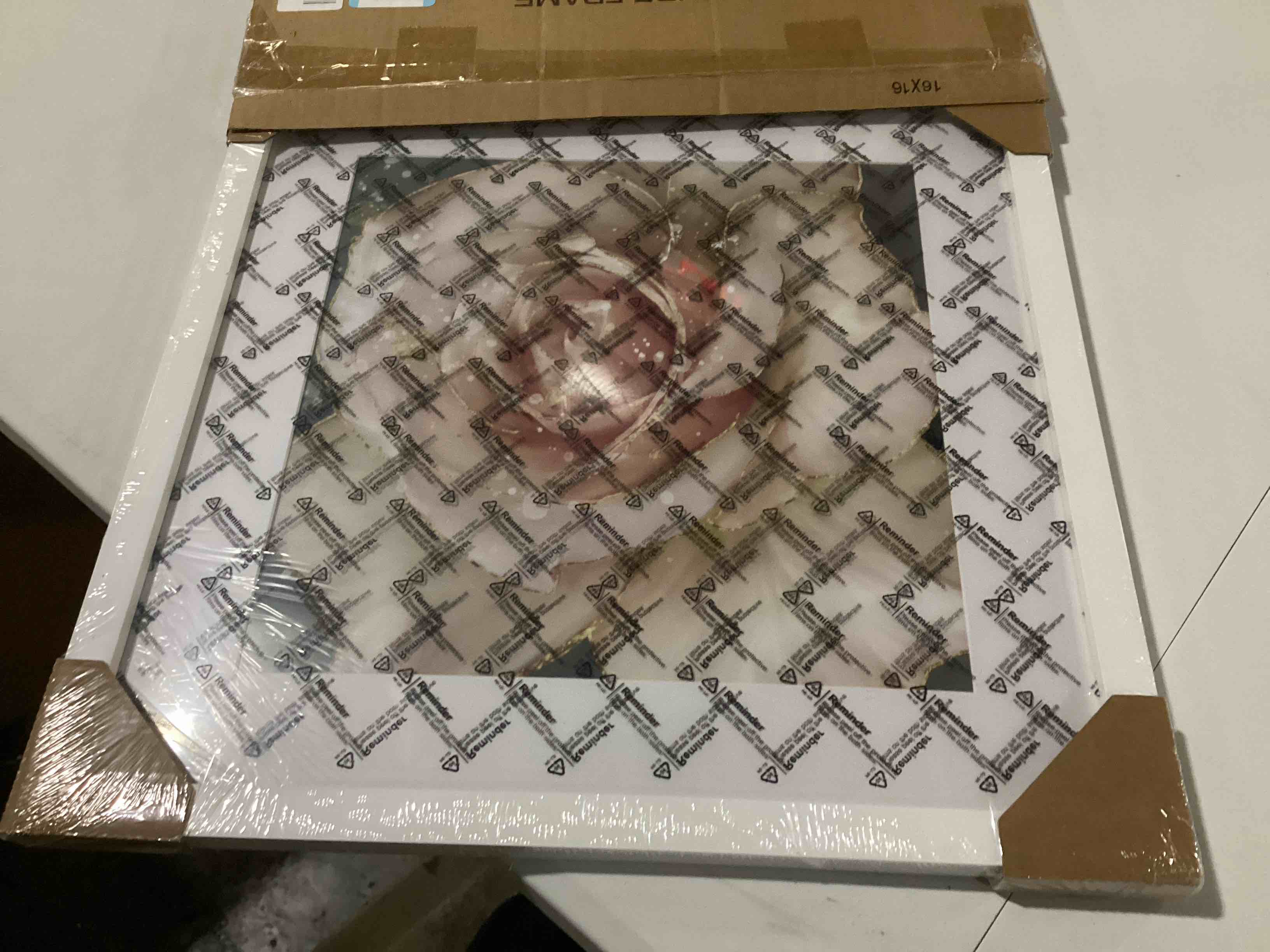 https://s3.amazonaws.com/lotting-images-prod/bidfta/GRN5709754_1728406090517.jpeg