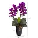 (black jug) Nearly Natural 23in. Double Phalaenopsis Orchid Artificial Vase Silk Arrangements, Purple (A1333-PW)