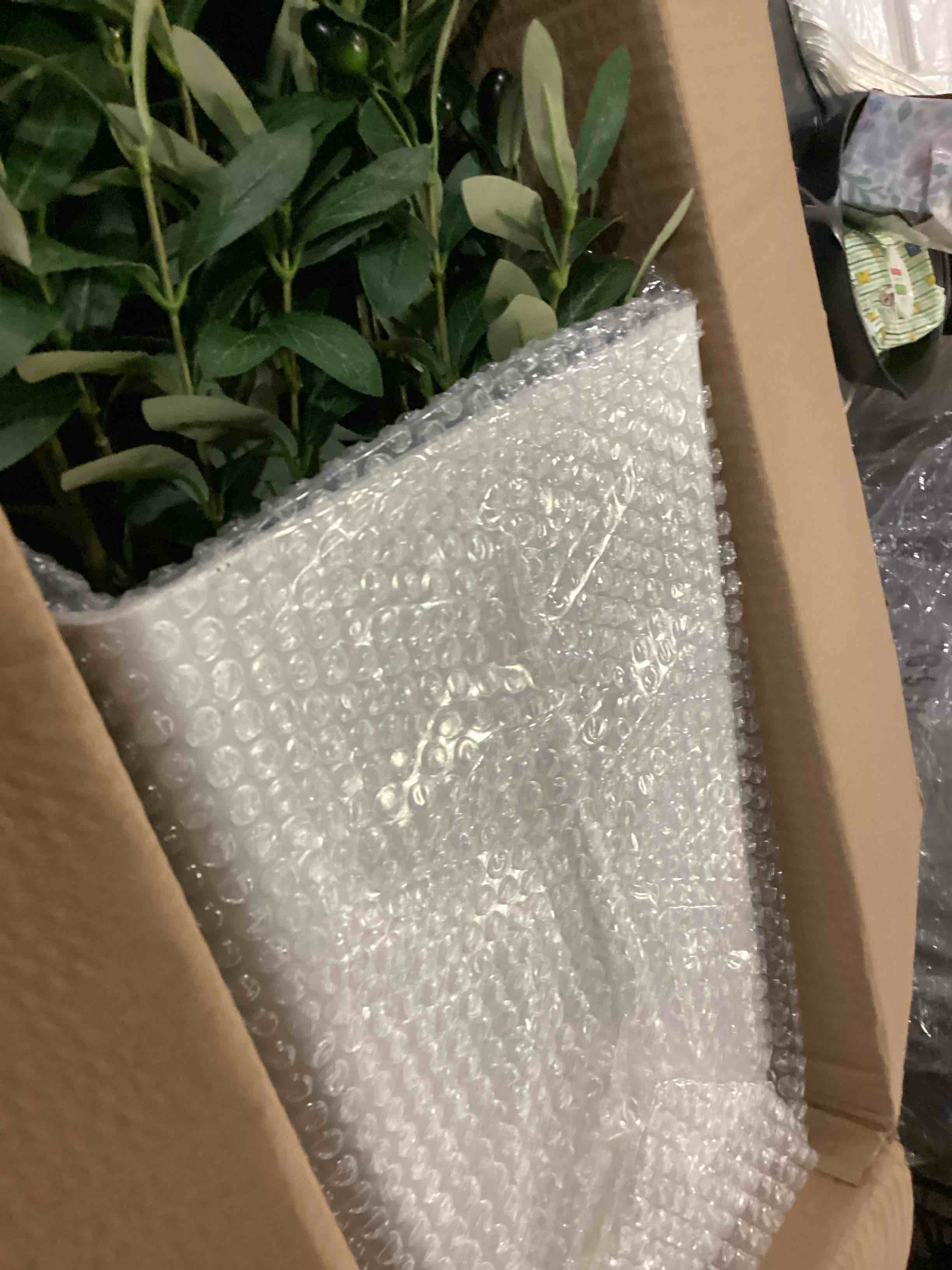 https://s3.amazonaws.com/lotting-images-prod/bidfta/GRN5749629_1723204267565.jpeg