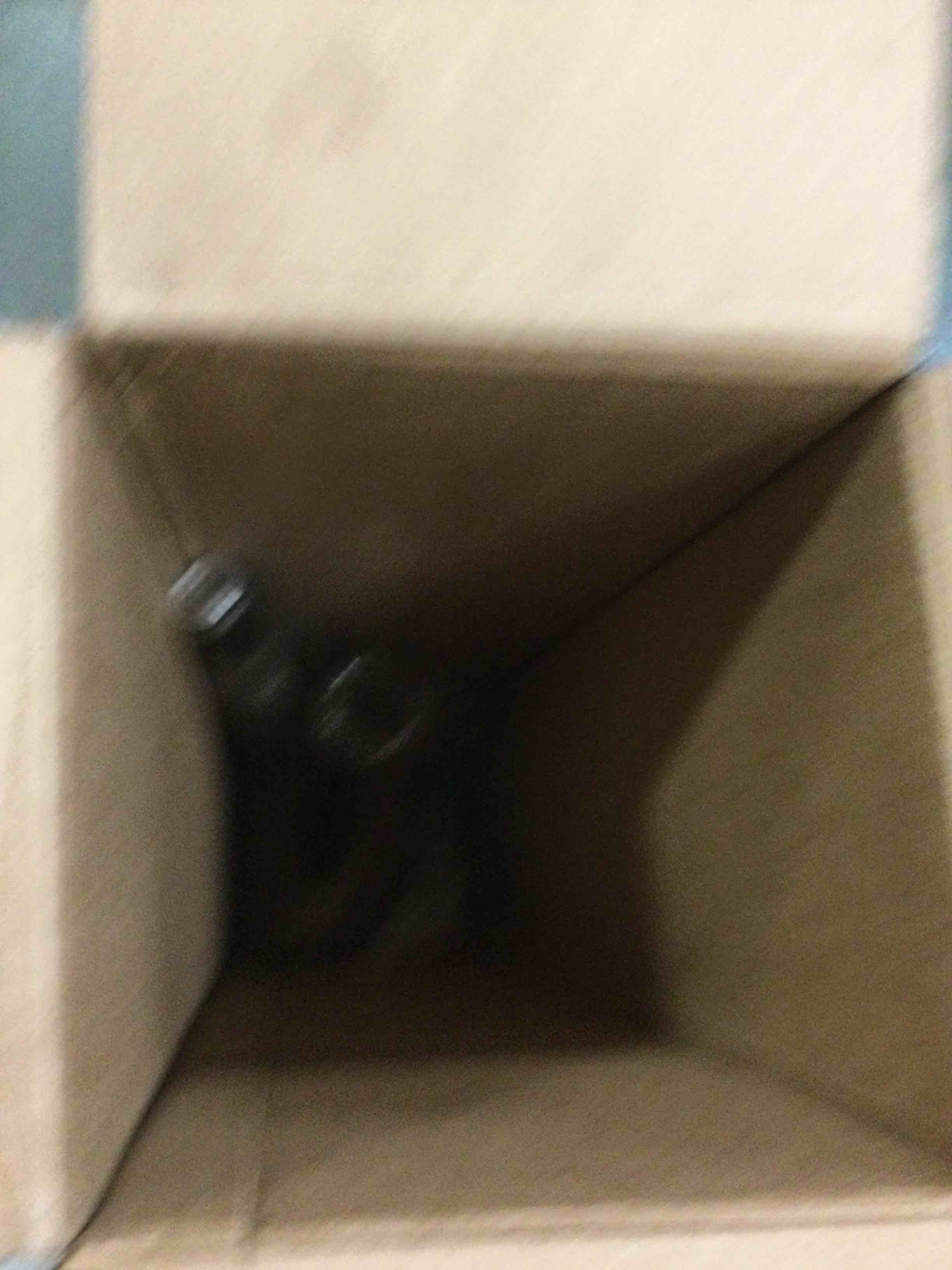 https://s3.amazonaws.com/lotting-images-prod/bidfta/GRN5771213_1704550293803.jpeg