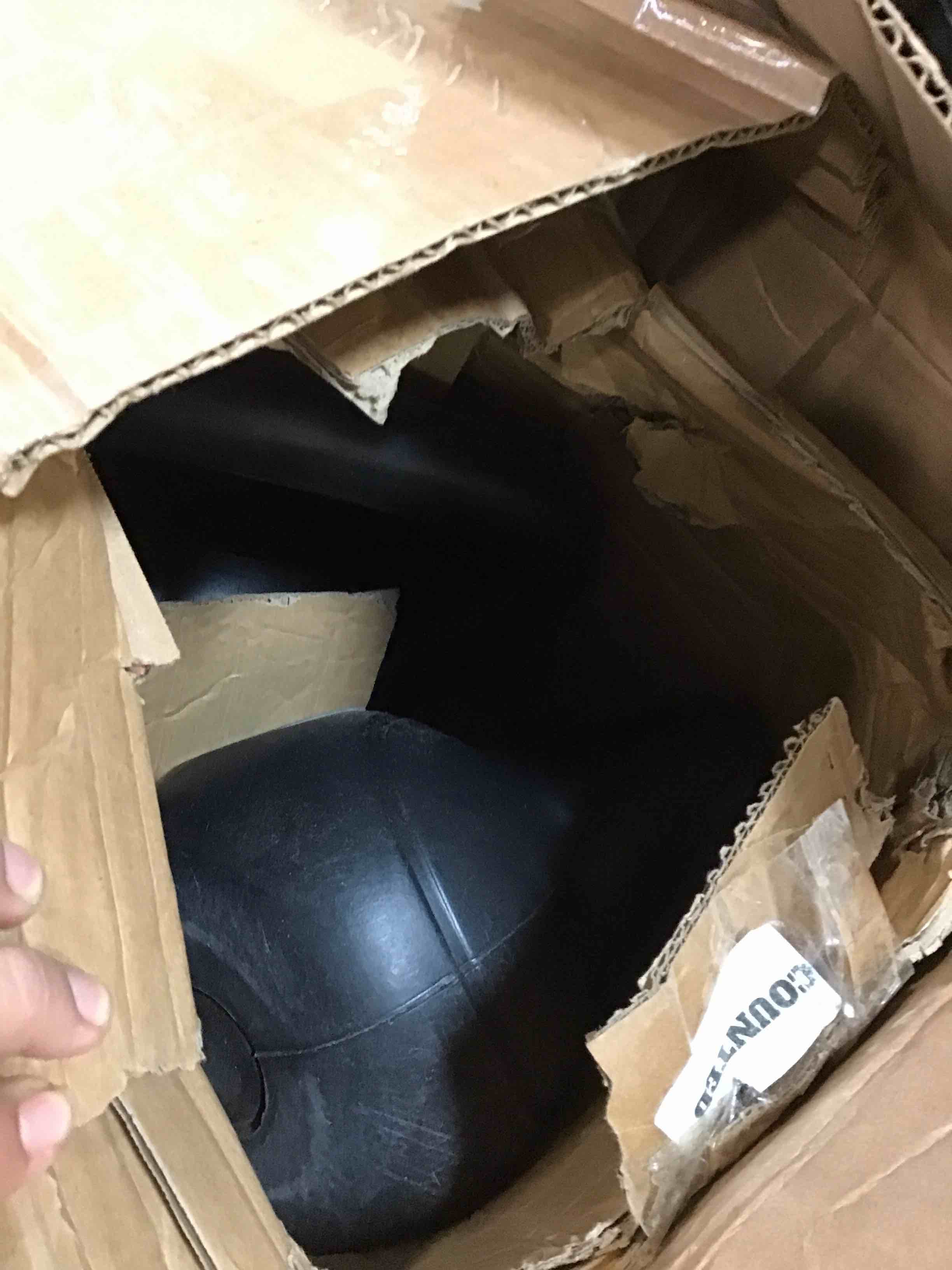 https://s3.amazonaws.com/lotting-images-prod/bidfta/GRN5772011_1704983862754.jpeg