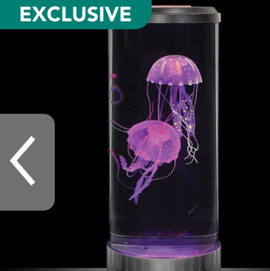 The Best Jellyfish Aquarium