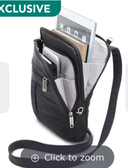 The Organized Traveler's Ultra Light Carry On