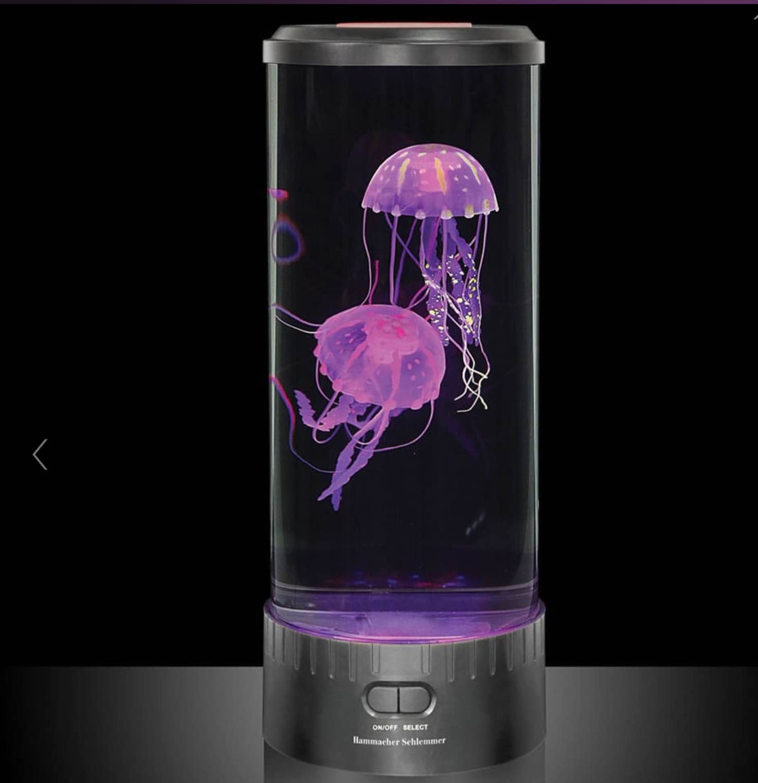 The Best Jellyfish Aquarium