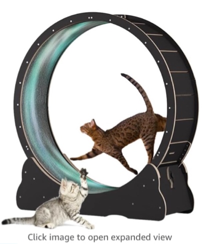 Homegroove Cat Exercise Wheel for Indoor Cat, 43.3" Large Cat Running Wheel with Carpeted Runway, Cat Treadmill Wheel for Kitty’s Longer Life, Cat Wheel for Fitness Weight, Natural Wood Color(XL)