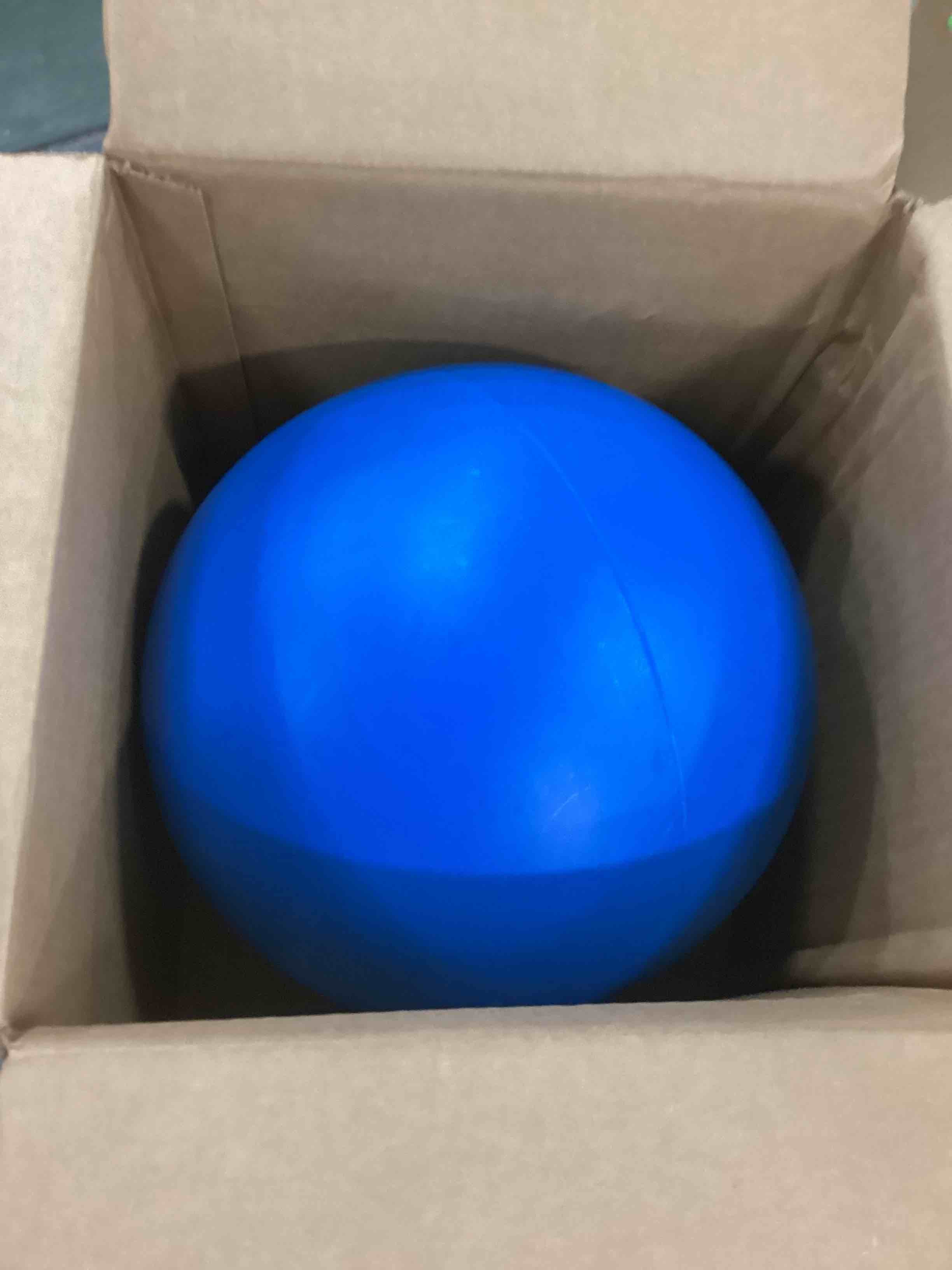 https://s3.amazonaws.com/lotting-images-prod/bidfta/GRN5832252_1705079999602.jpeg