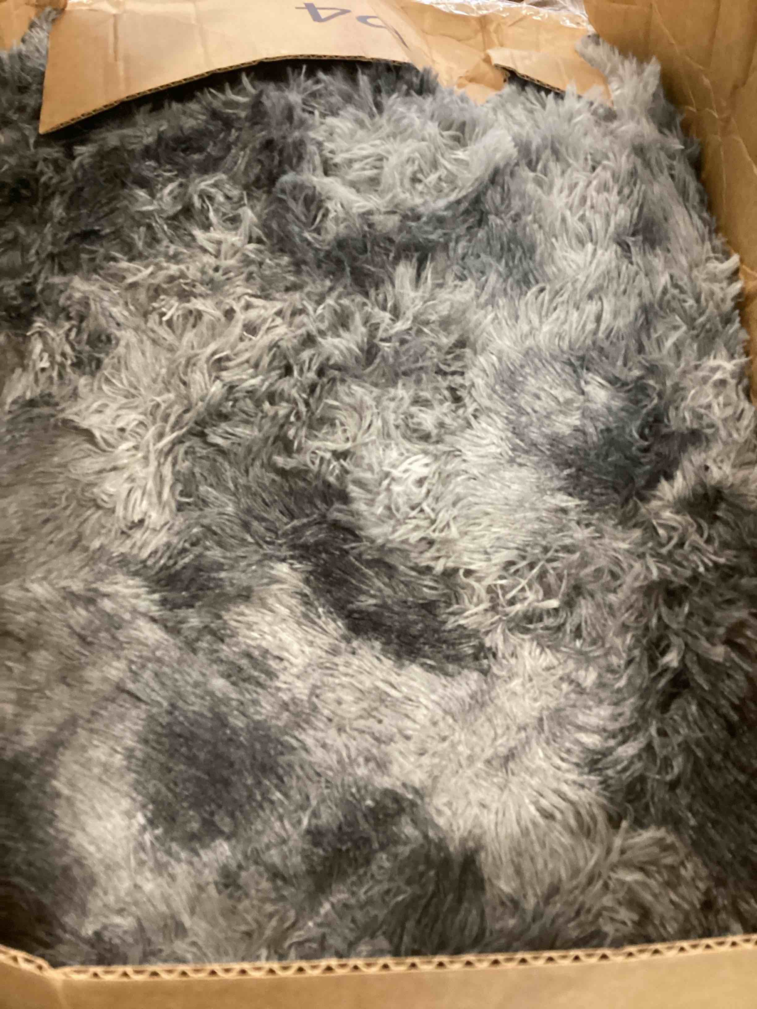 https://s3.amazonaws.com/lotting-images-prod/bidfta/GRN5854784_1705955916156.jpeg
