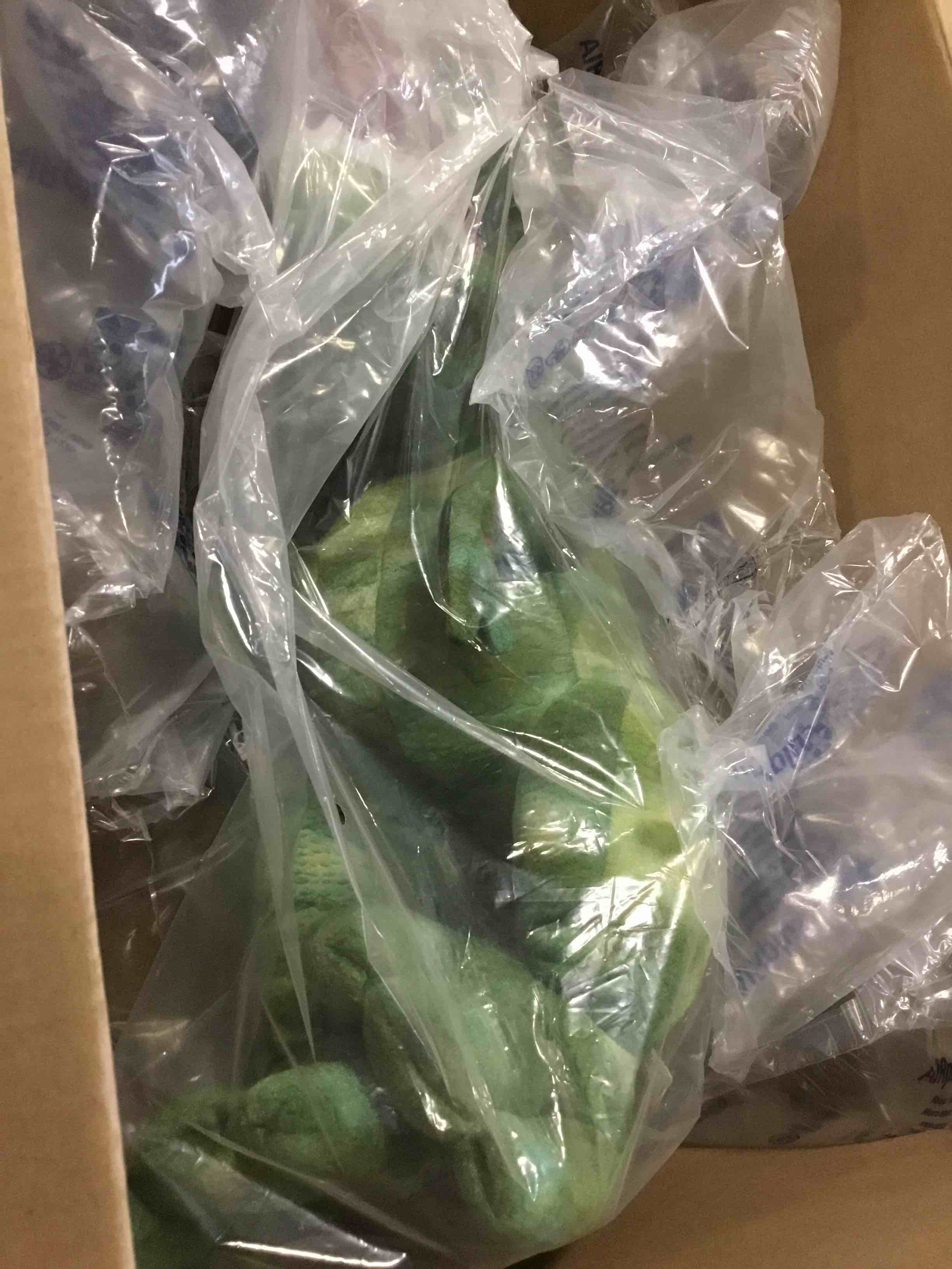 The 18" Talk Back Mimicking T Rex