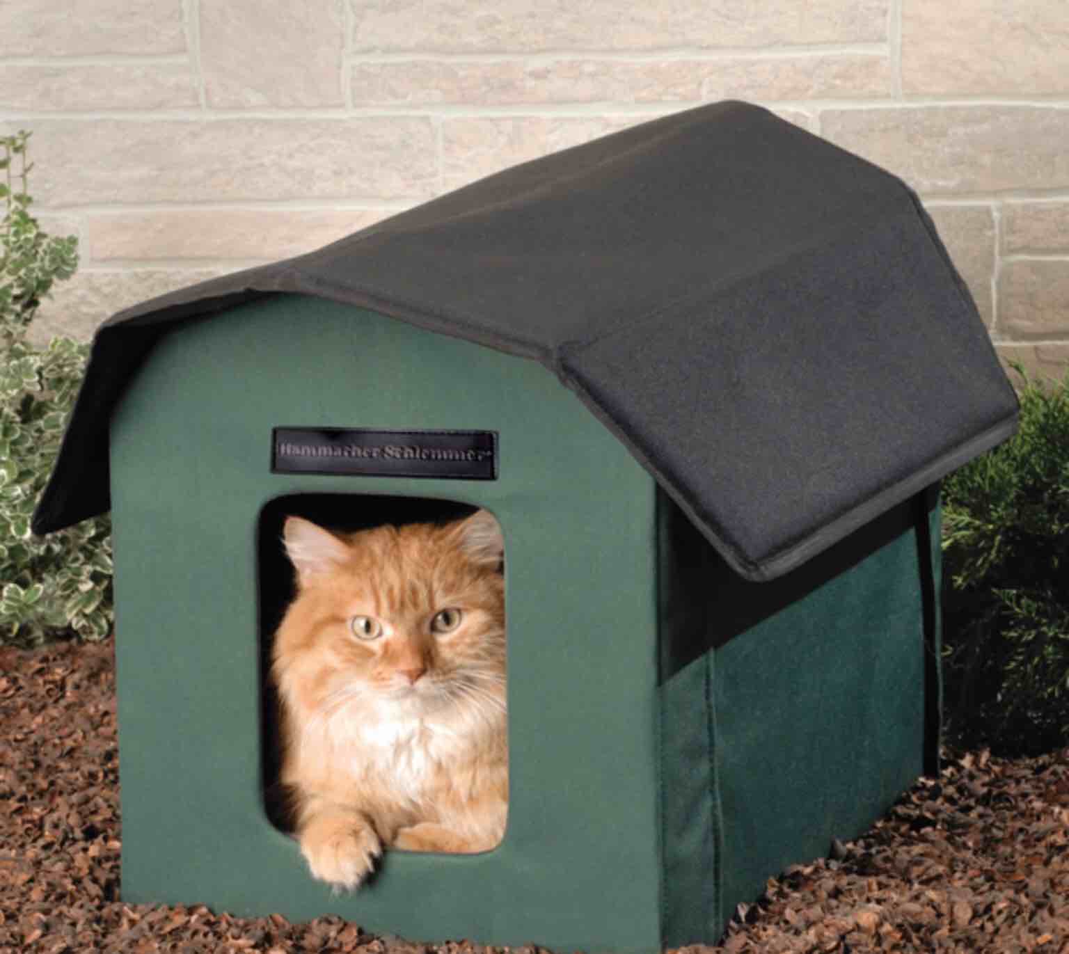 The Only Outdoor Heated Cat Shelter