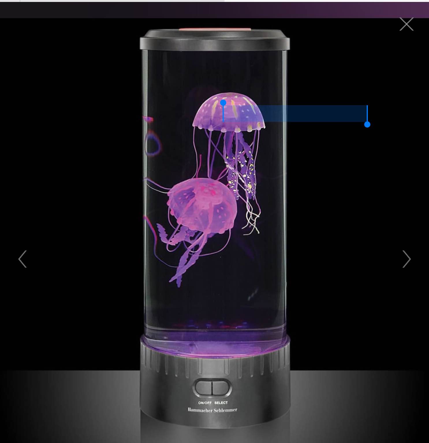 The Best Jellyfish Aquarium