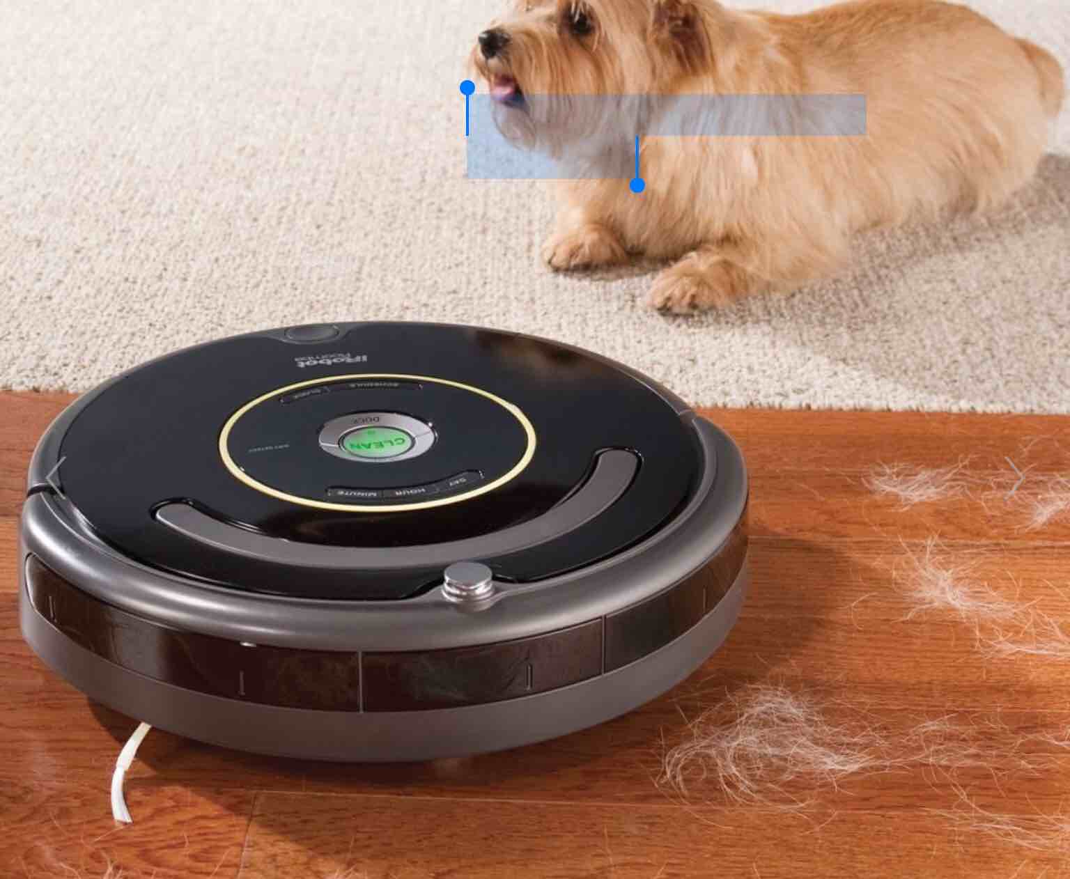 The Pet Bowl Circumventing Roomba 660