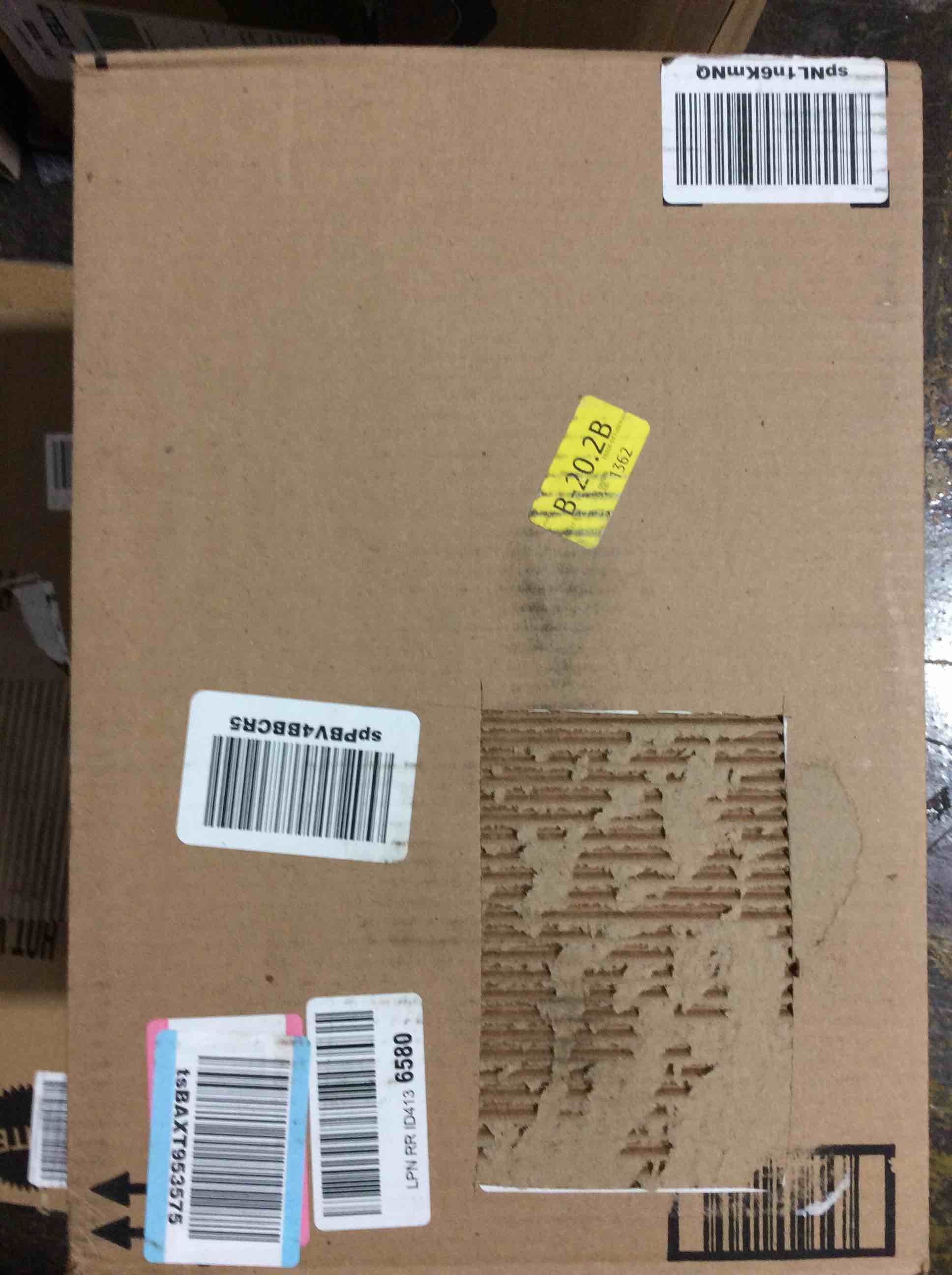 https://s3.amazonaws.com/lotting-images-prod/bidfta/GRN5936154_1707321426924.jpeg