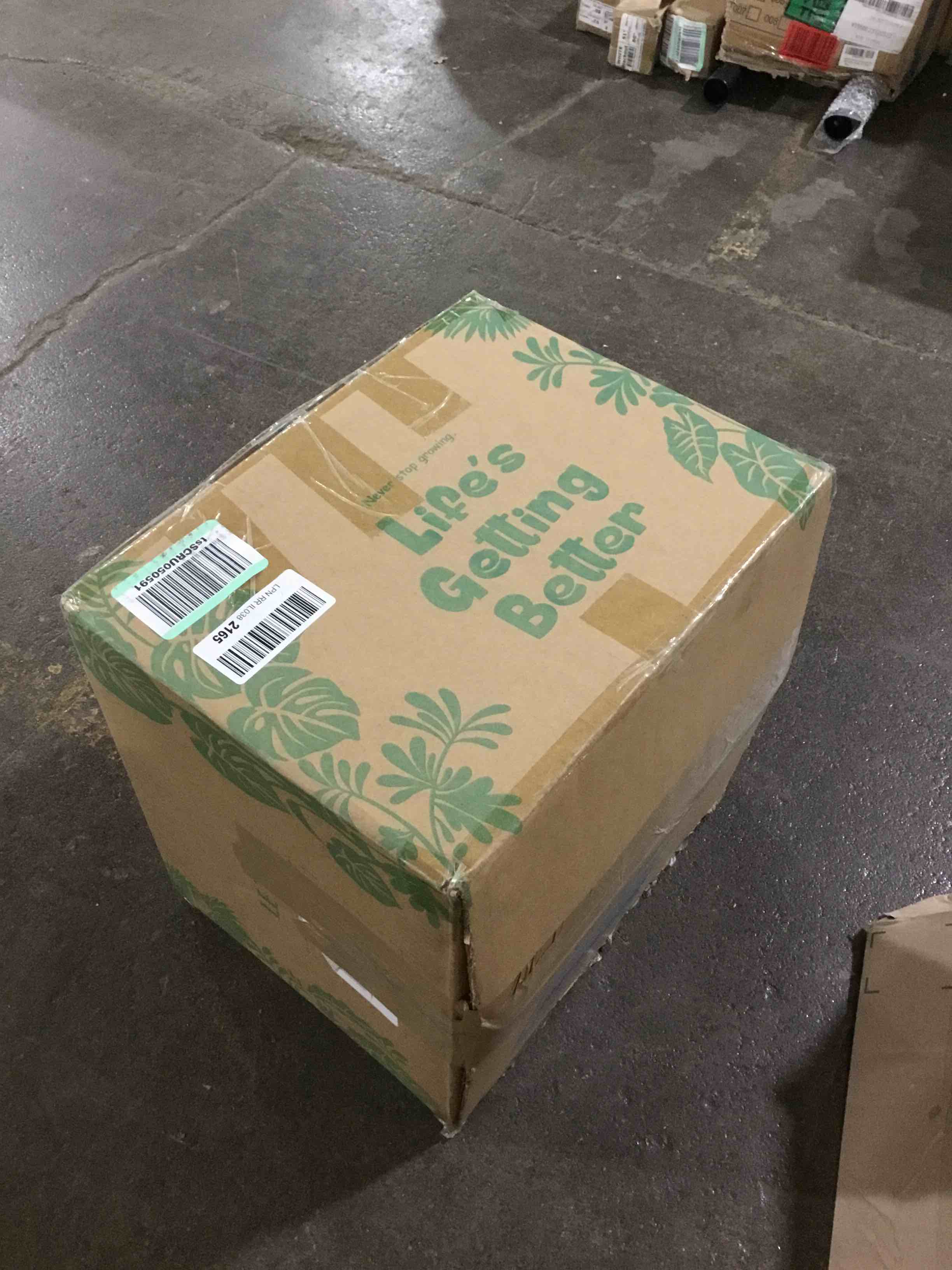 https://s3.amazonaws.com/lotting-images-prod/bidfta/GRN5953009_1718313678872.jpeg