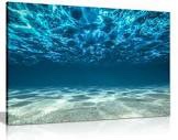 Ocean Bottom Wrapped Canvas