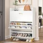 Shoe Storage Cabinet