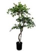 Hand-Made Primrue Fresh Italian Black Olive Leaf 5'' Artificial Tree