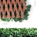 expandable pvc trellis ficus leaves