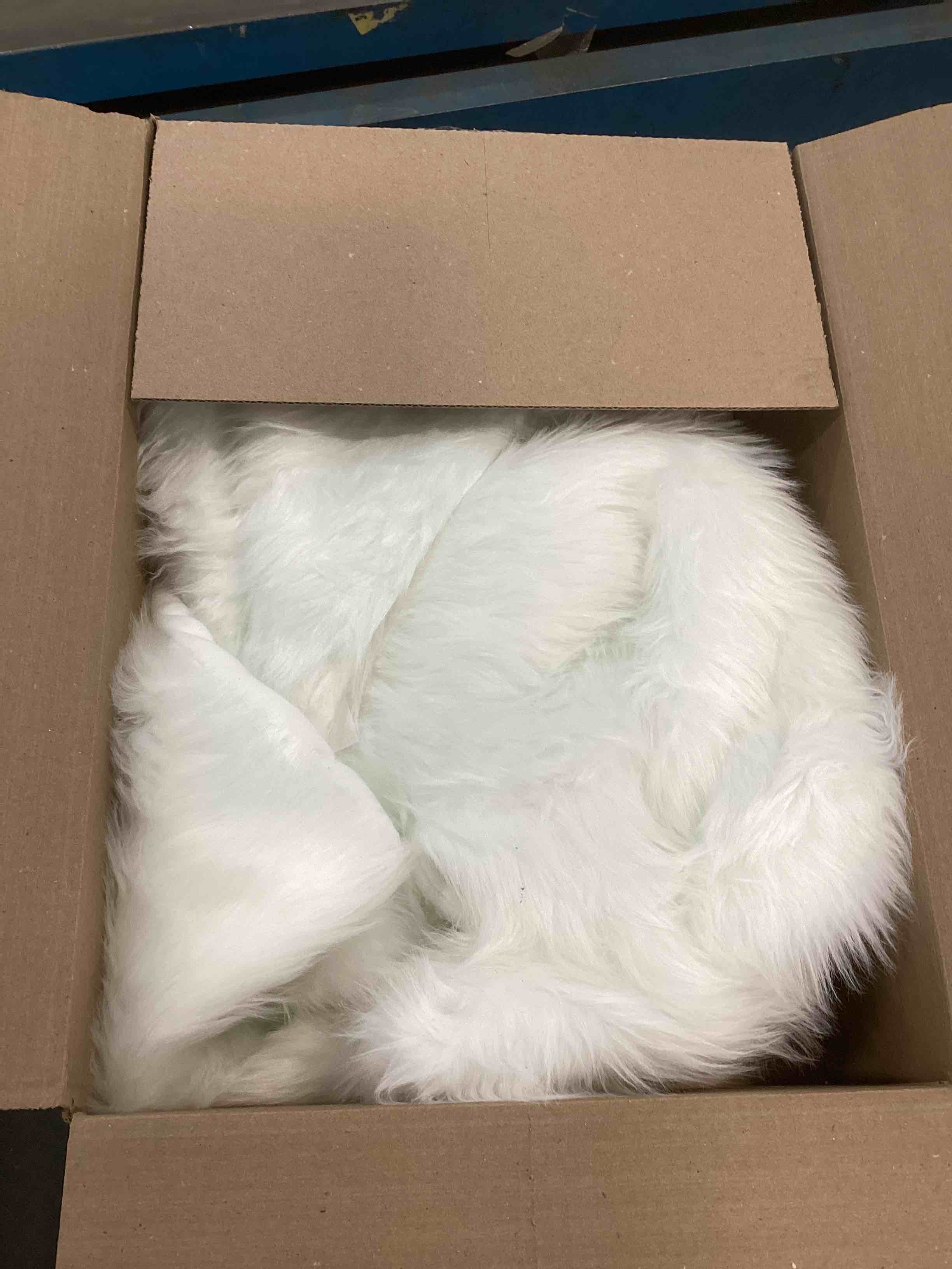 https://s3.amazonaws.com/lotting-images-prod/bidfta/GRN6052341_1707770532328.jpeg