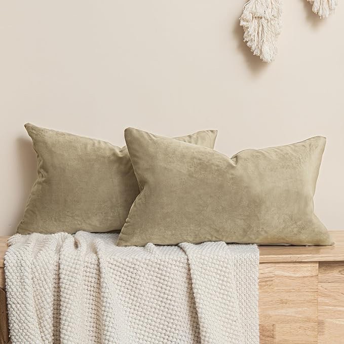 JUSPURBET Stone Decorative Velvet Throw Pillow Covers 16x24,Pack of 2 