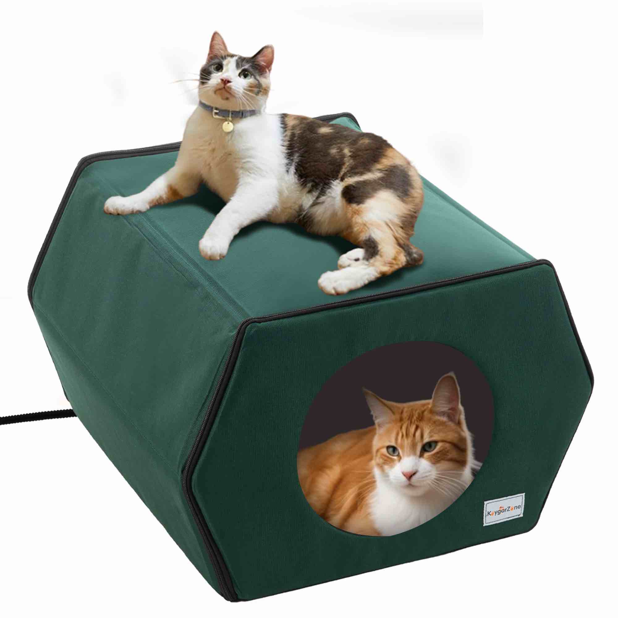 Heated Cat Houses for Indoor/Outdoor Cats, Best Gift for CAT Lovers, 9.8ft Bite-Resistant Wire, 2 Clear Doors & Foldable Portable House Weatherproof with Removable Heated Pad, Large Capacity, Green