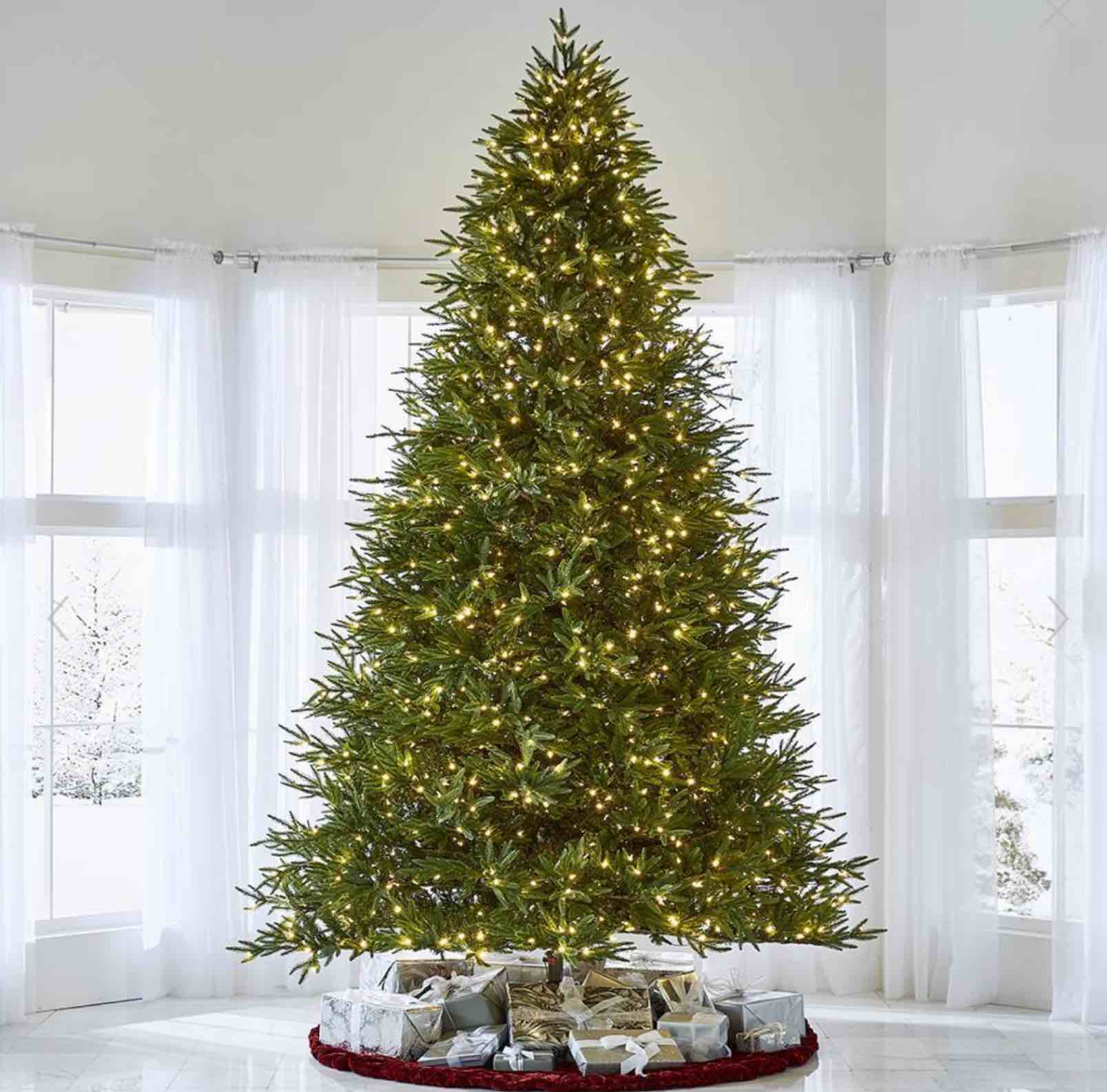 The World’s Best Prelit Concolor Fir 7.5 Full Led 