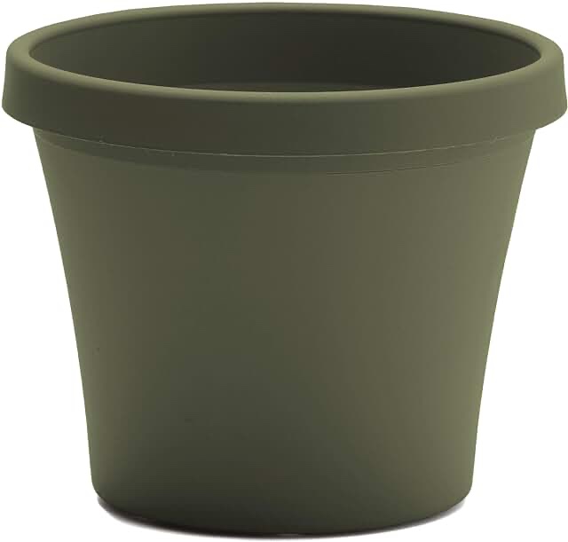 Bloem Terra Pot Round Planter: 16" - Living Green - Matte Finish, Durable Resin, Traditional Style Pot, for Indoor and Outdoor Use, Gardening, 8 Gallon Capacity, Saucer Not Included