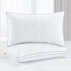 Maxzzz Pillows Standard Size Set of 2, Fluffy Pillows for Bed with Down Alternative, for Back, Stomach or Side Sleepers, Luxury Hotel Quality, White(20 * 26 inches)