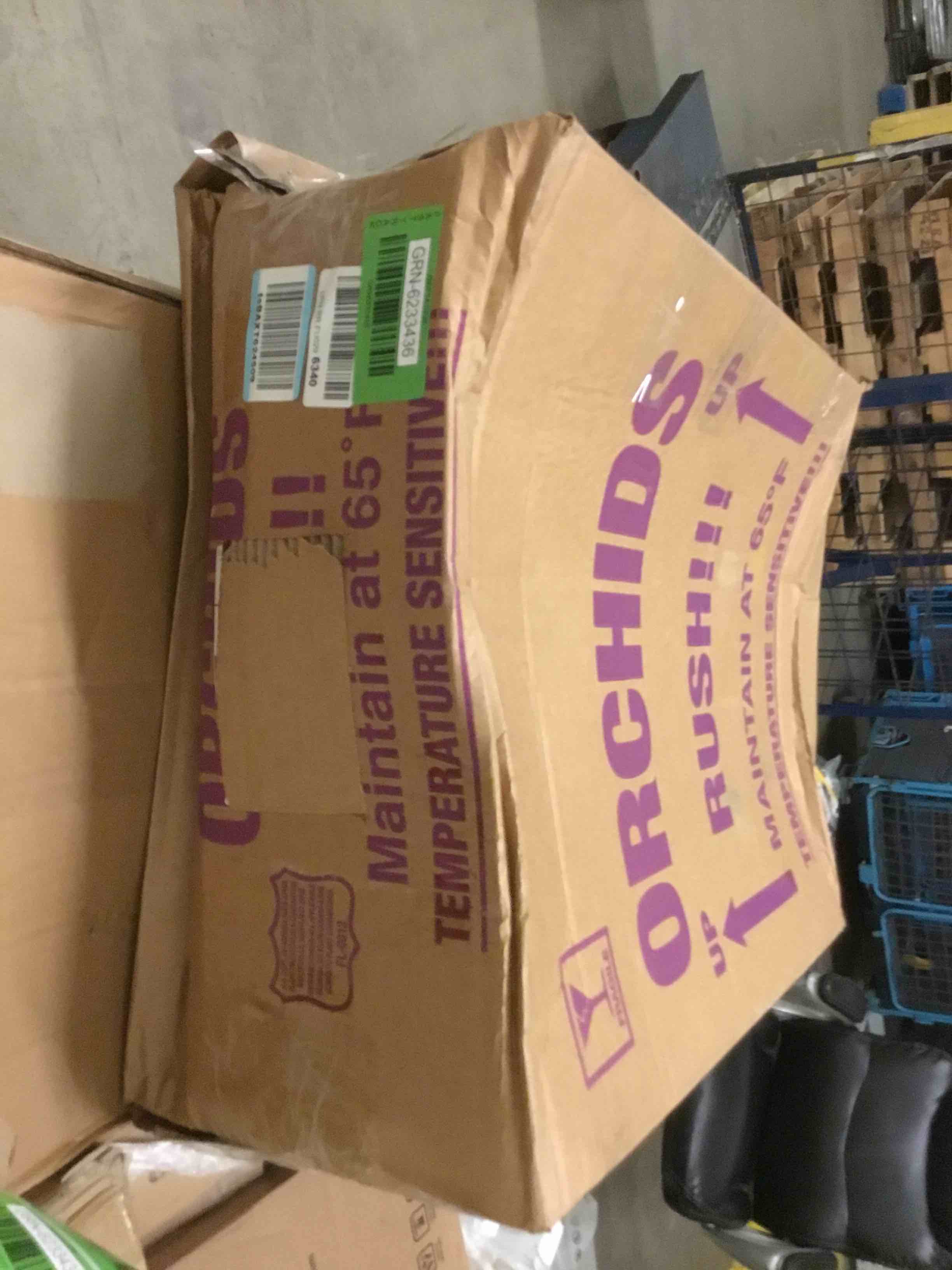 https://s3.amazonaws.com/lotting-images-prod/bidfta/GRN6233436_1726778191073.jpeg