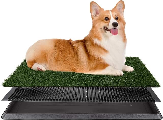Artificial Grass Puppy Pee Pad for Dogs and Small Pets - 20x30 Reusable 3-Layer Training Potty Pad with Tray - Dog Housebreaking Supplies by PETMAKER