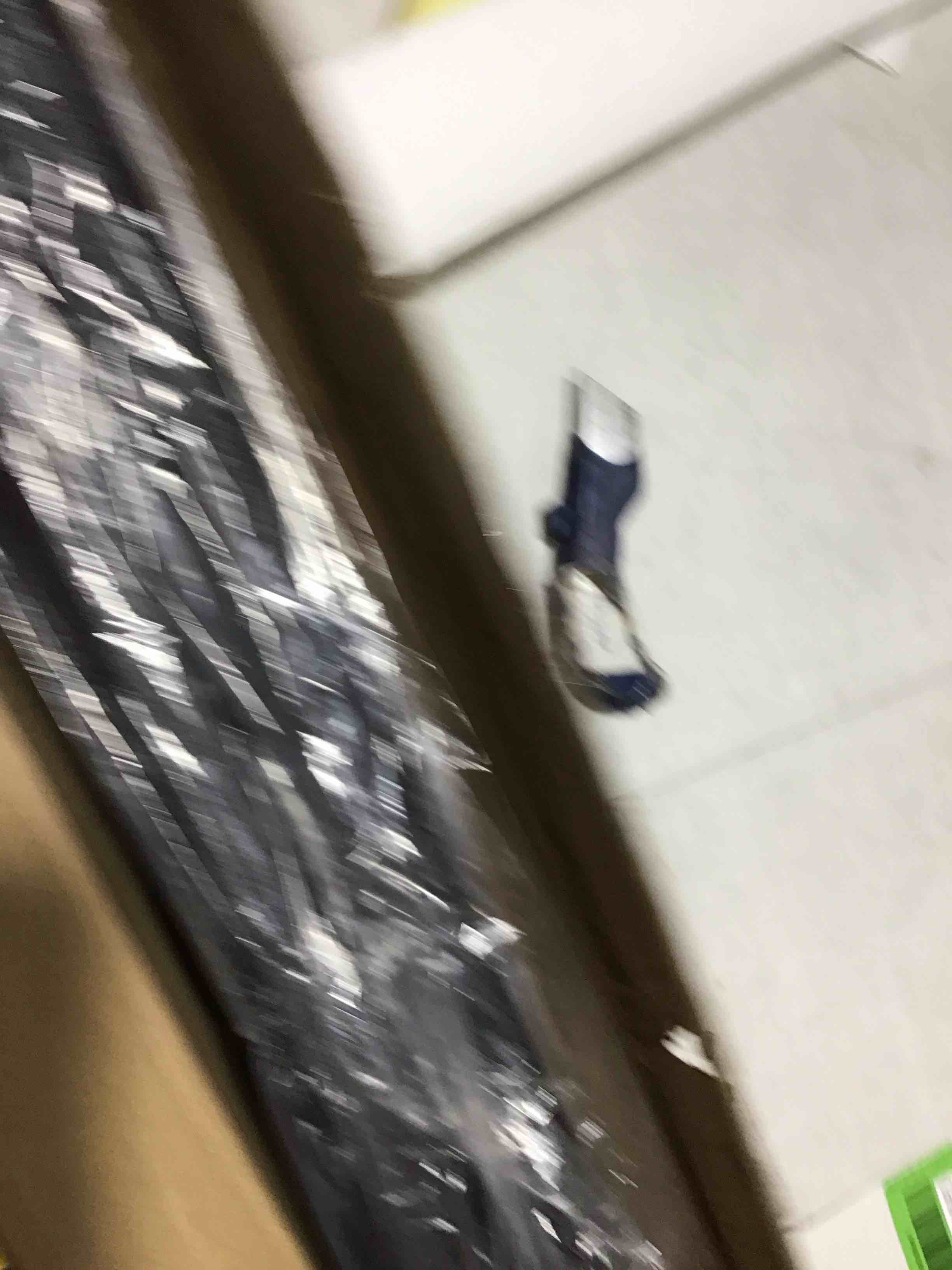 https://s3.amazonaws.com/lotting-images-prod/bidfta/GRN6259056_1717009611620.jpeg