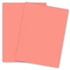 Salmon Lettermark (Earthchoice) Multipurpose Paper - 8.5X11 20/50Lb Text - 5000 Pk (81206) [94318]